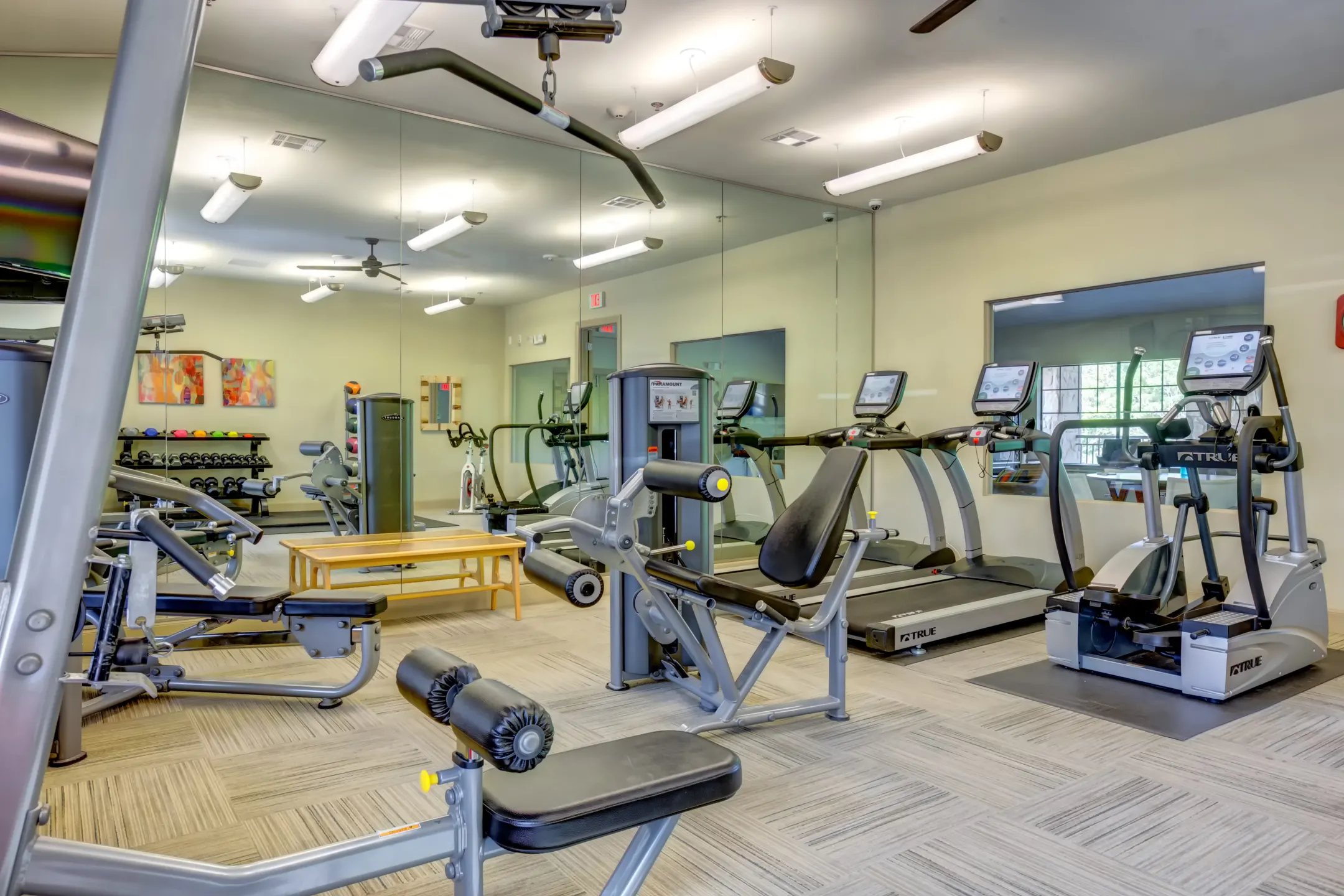 Fitness Weight Room - Waller Creekside on 51st - Austin, TX