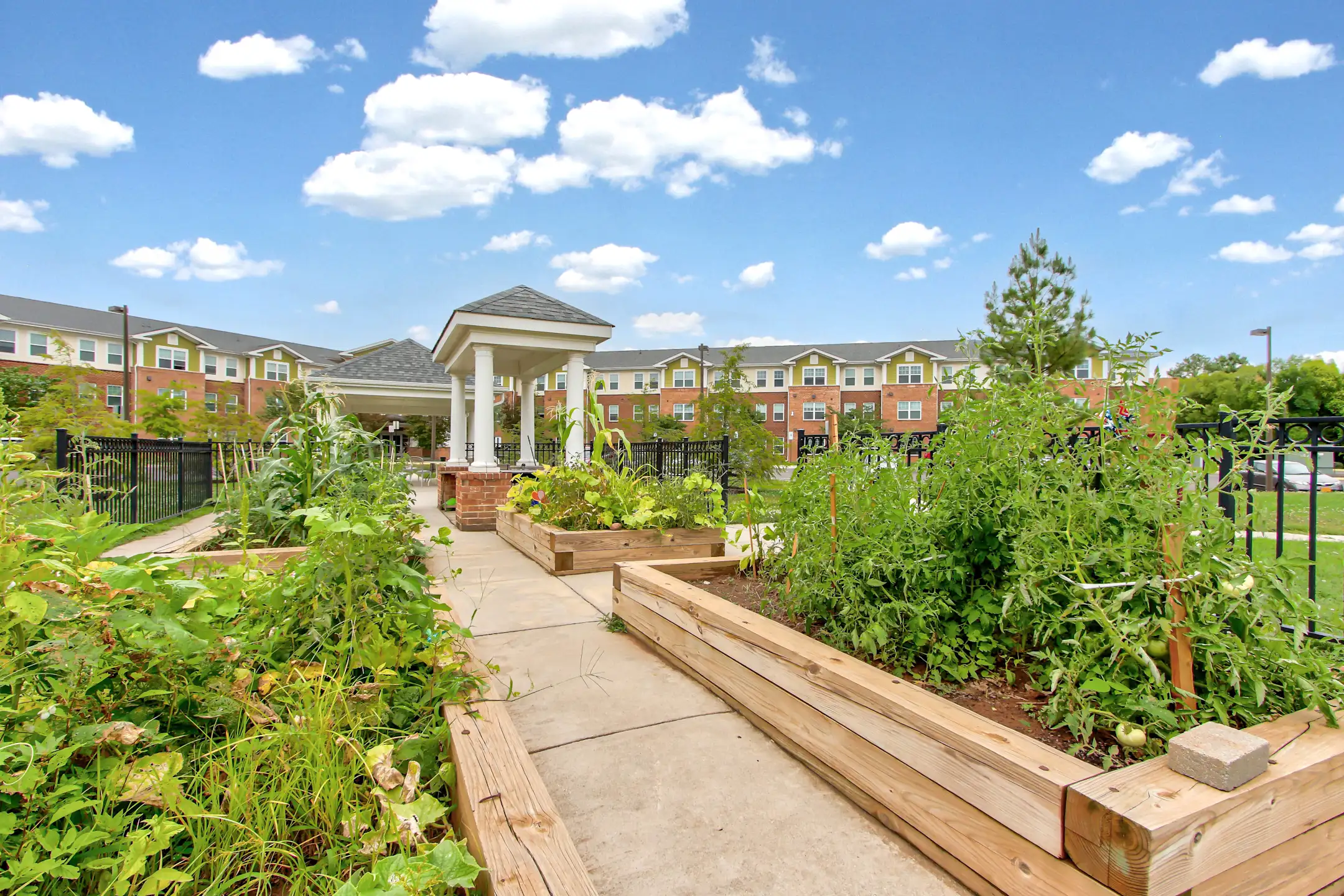 Mintbrook Senior Community 4475 Bacon Street Bealeton, VA