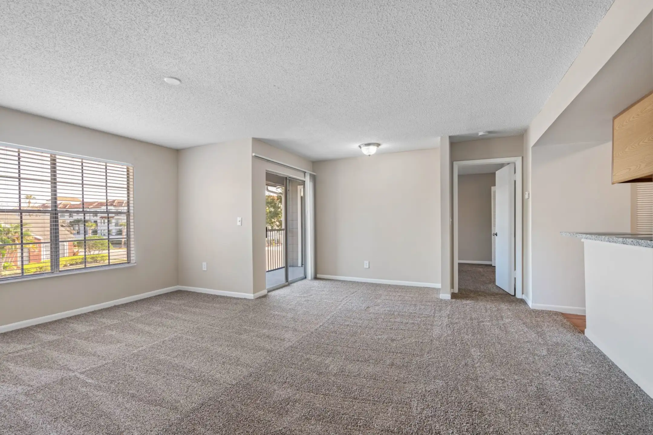 Newport Apartments Apartments Tampa, FL 33615