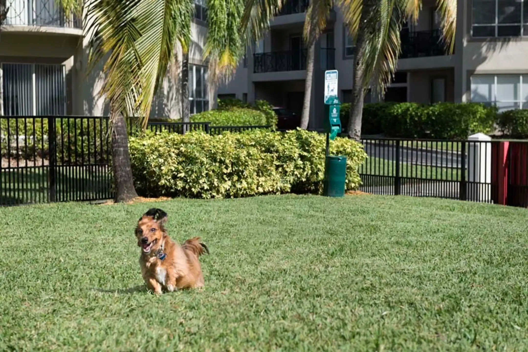 Playground - Camden Aventura - Miami, FL