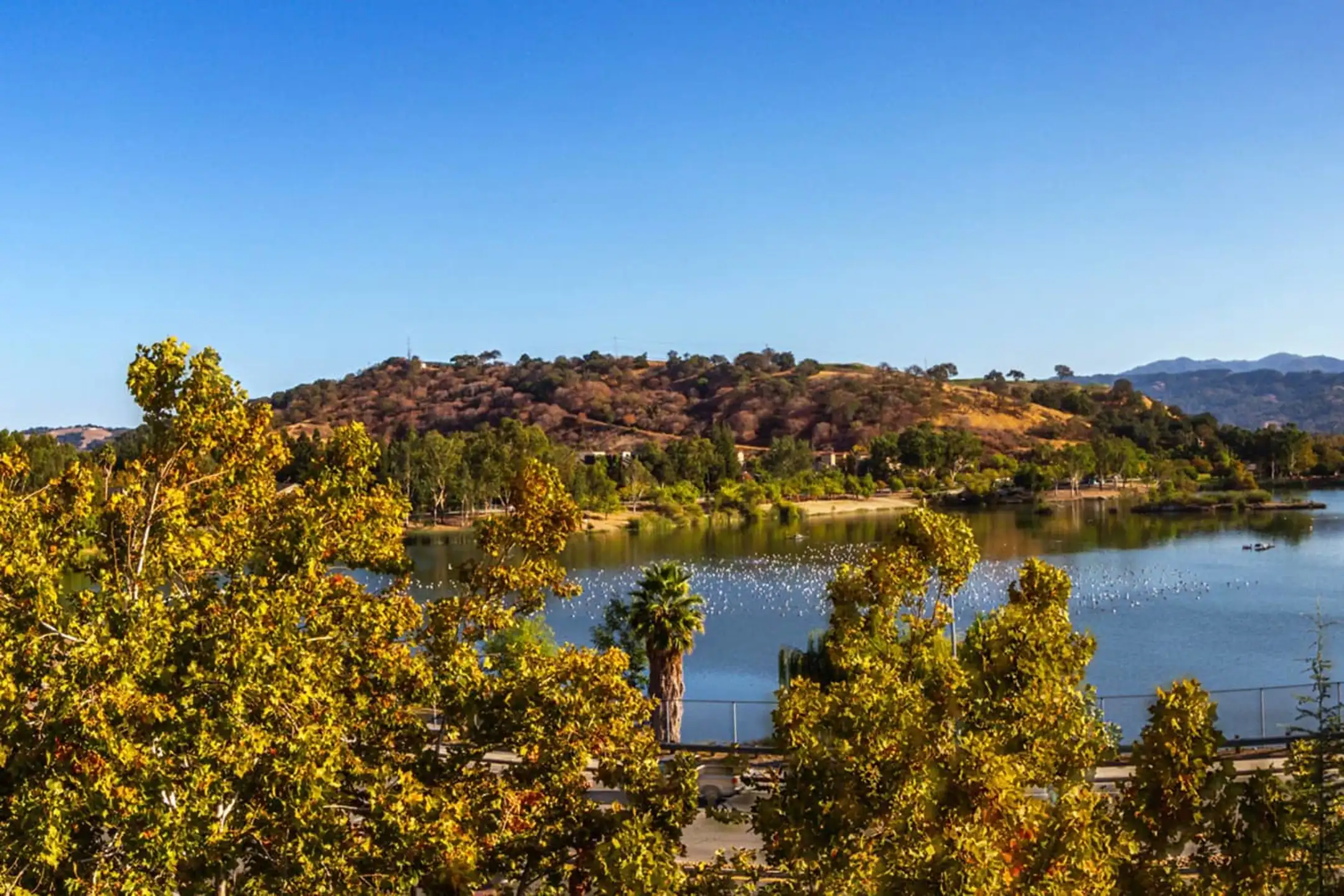 Almaden Lake Village Apartments San Jose, CA 95123