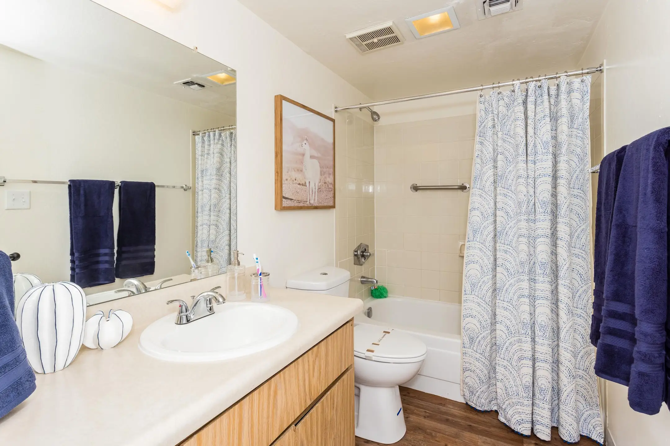 Bathroom - University Square Apartments - Flagstaff, AZ