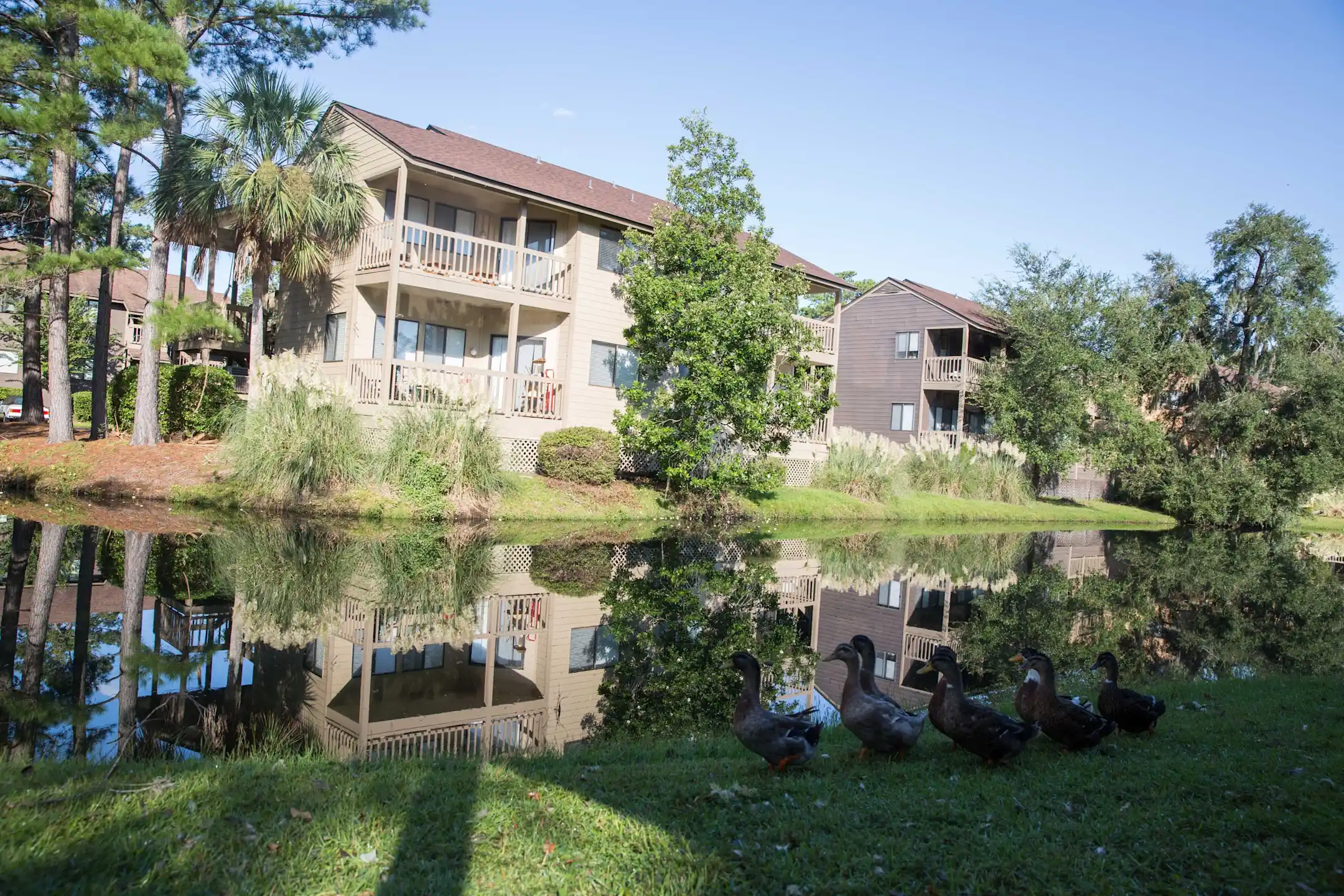 Marsh Point Apartments Hilton Head, SC 29926