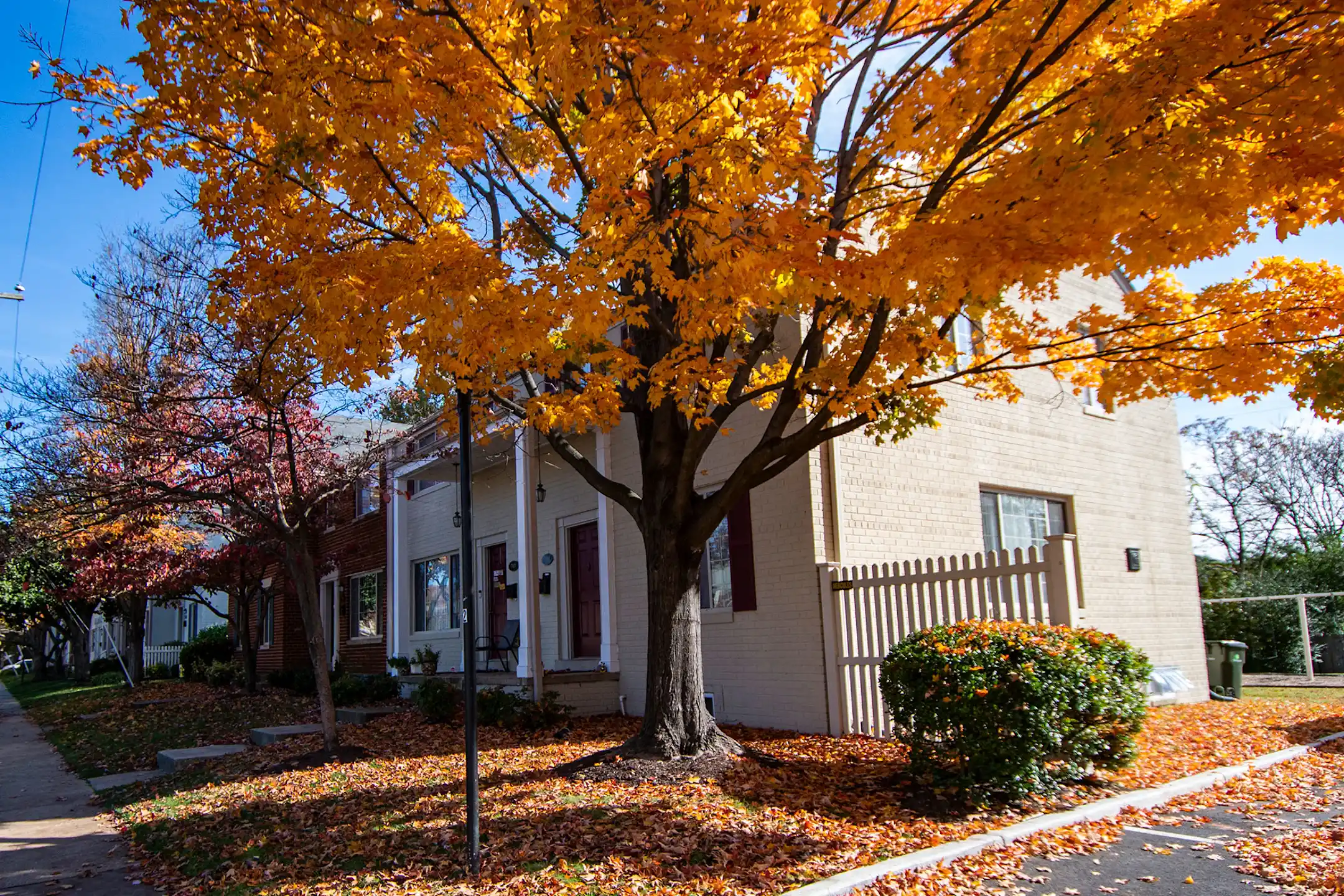 Brookville Townhomes Townhomes Alexandria, VA 22304