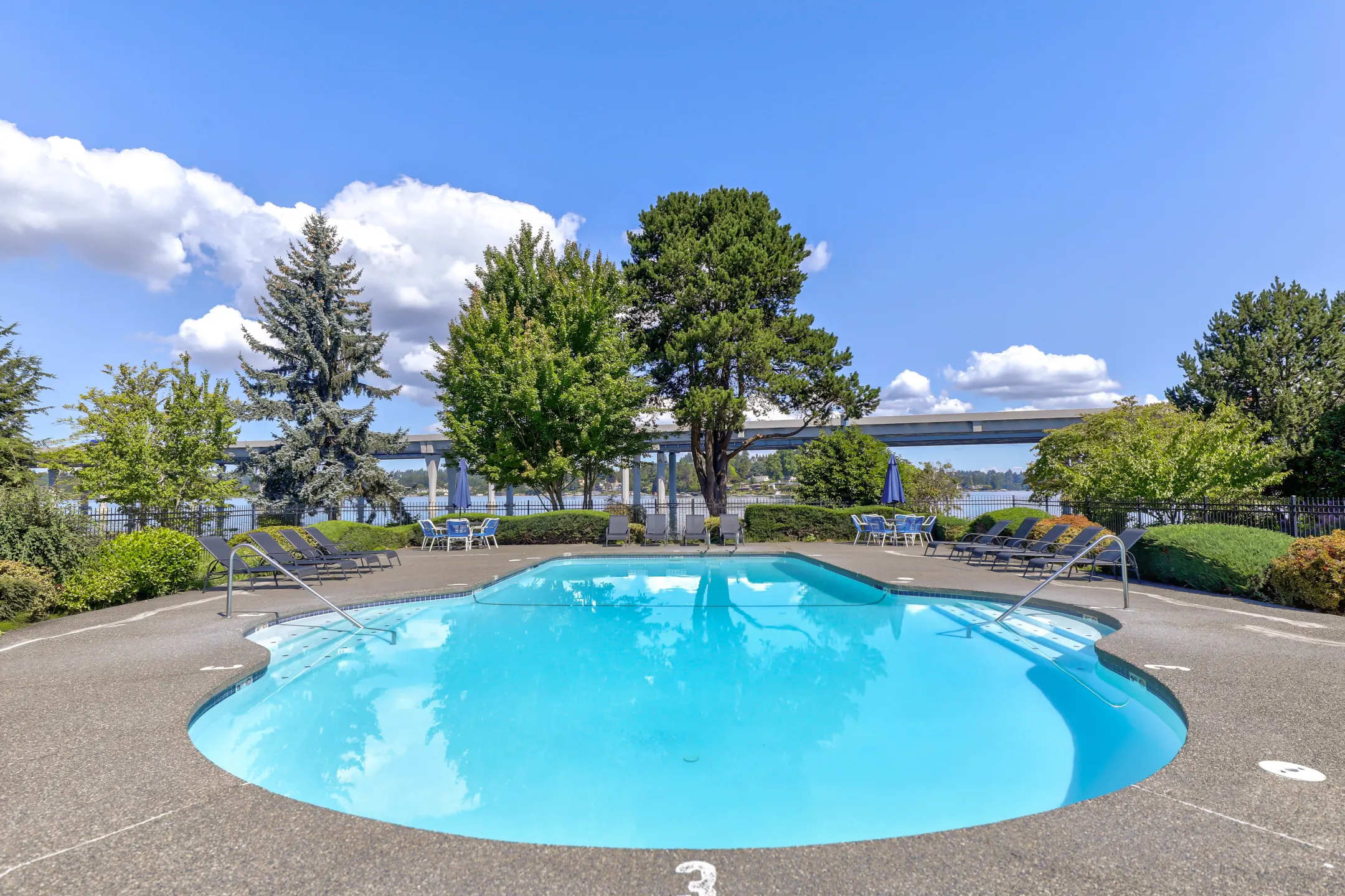 Pool - Edgewater Apartments - Seattle, WA
