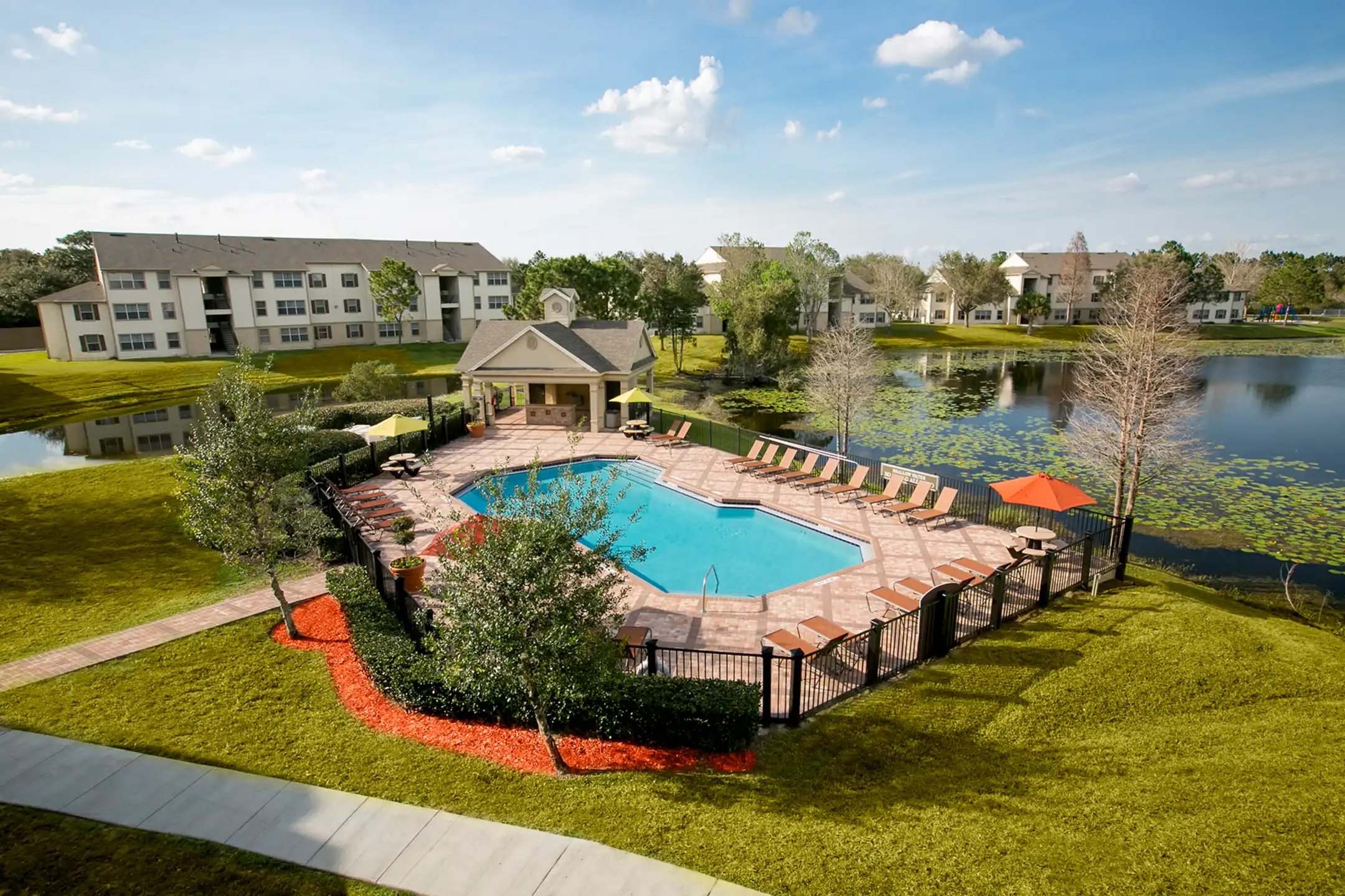 Pool - Trails at Loma - Oviedo, FL
