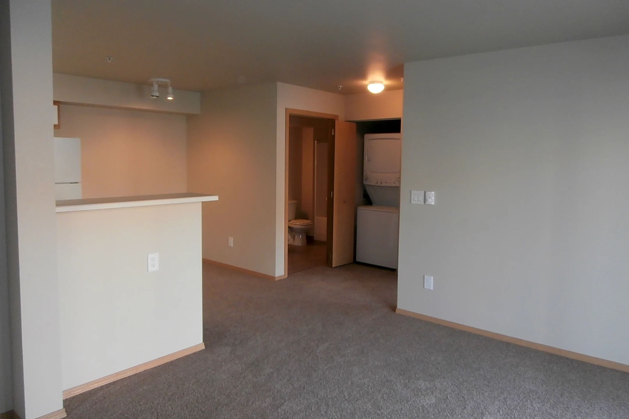 Pimlico Pullman, WA 99163