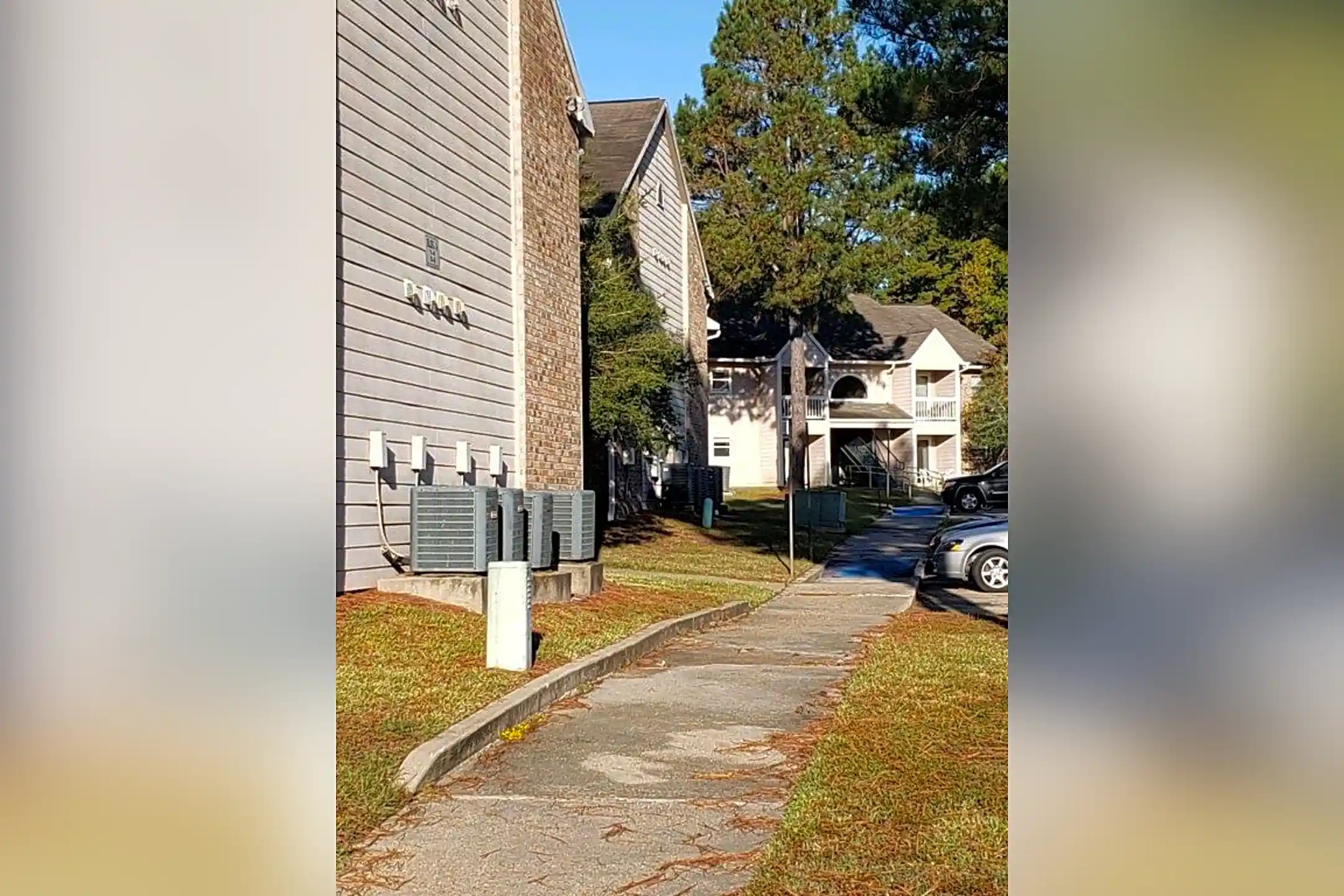 Holly Grove Apartments Leesville, LA 71446