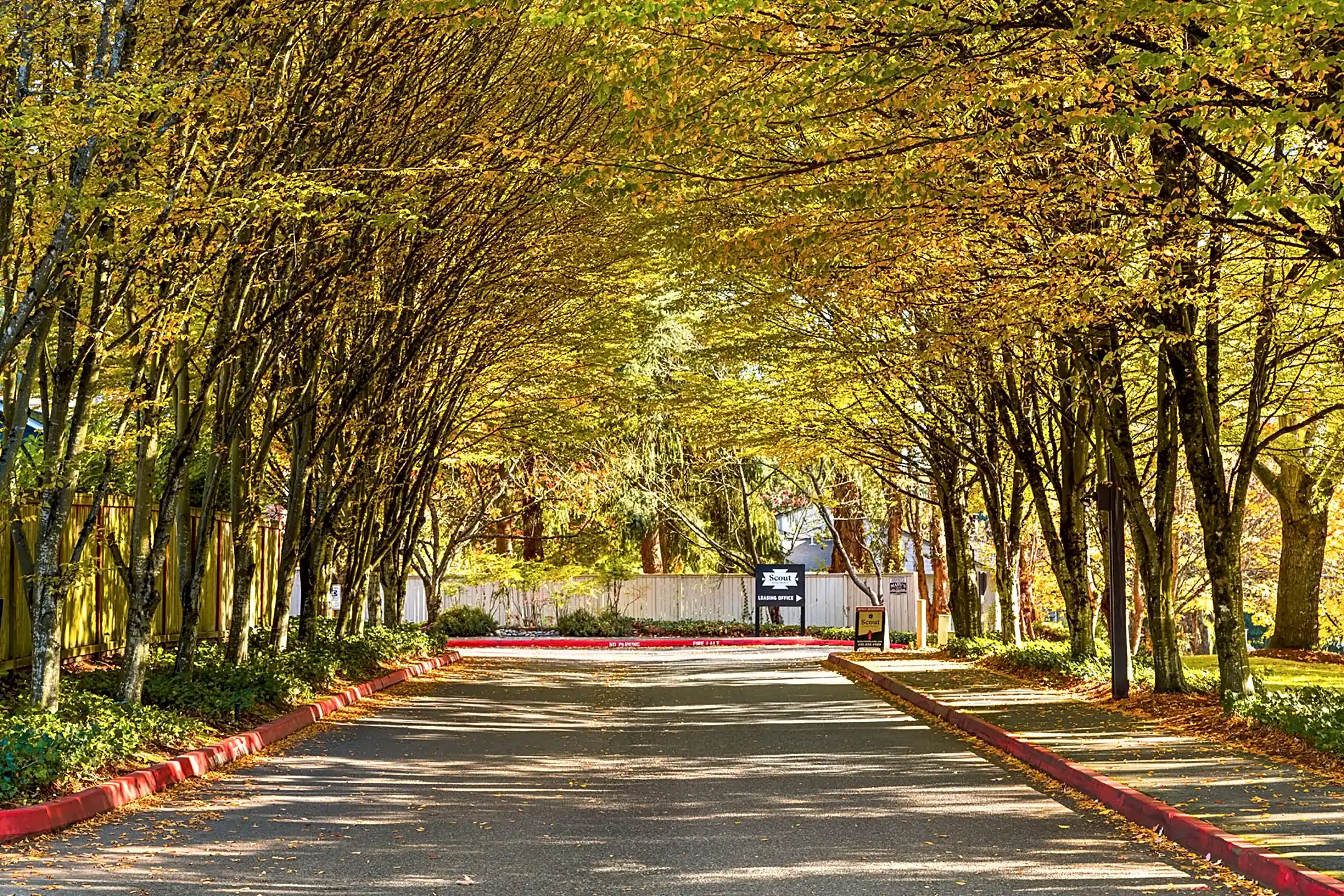 Scout 10211 NE 134th Ln Kirkland, WA Apartments for Rent Rent.