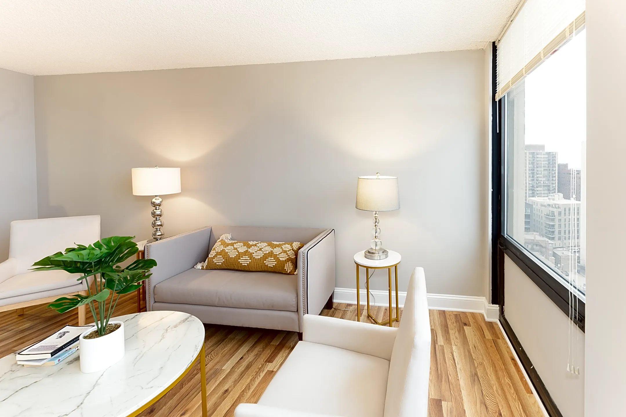 Living Room - Lincoln Park Plaza - Chicago, IL