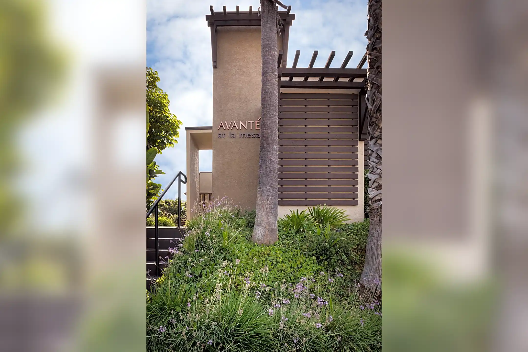 Elan Avante 8515 Chloe Ave La Mesa, CA Apartments for Rent Rent.