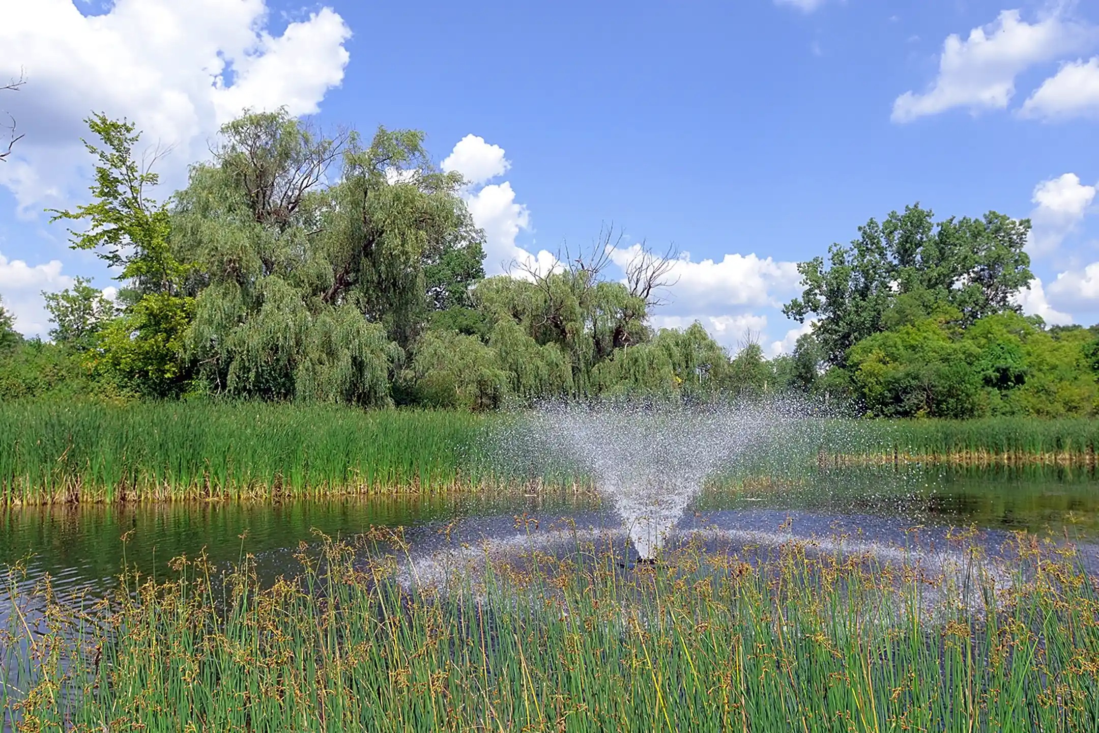 Pine Lake Apartments 3620 Windmill Dr Waterford, MI Apartments for