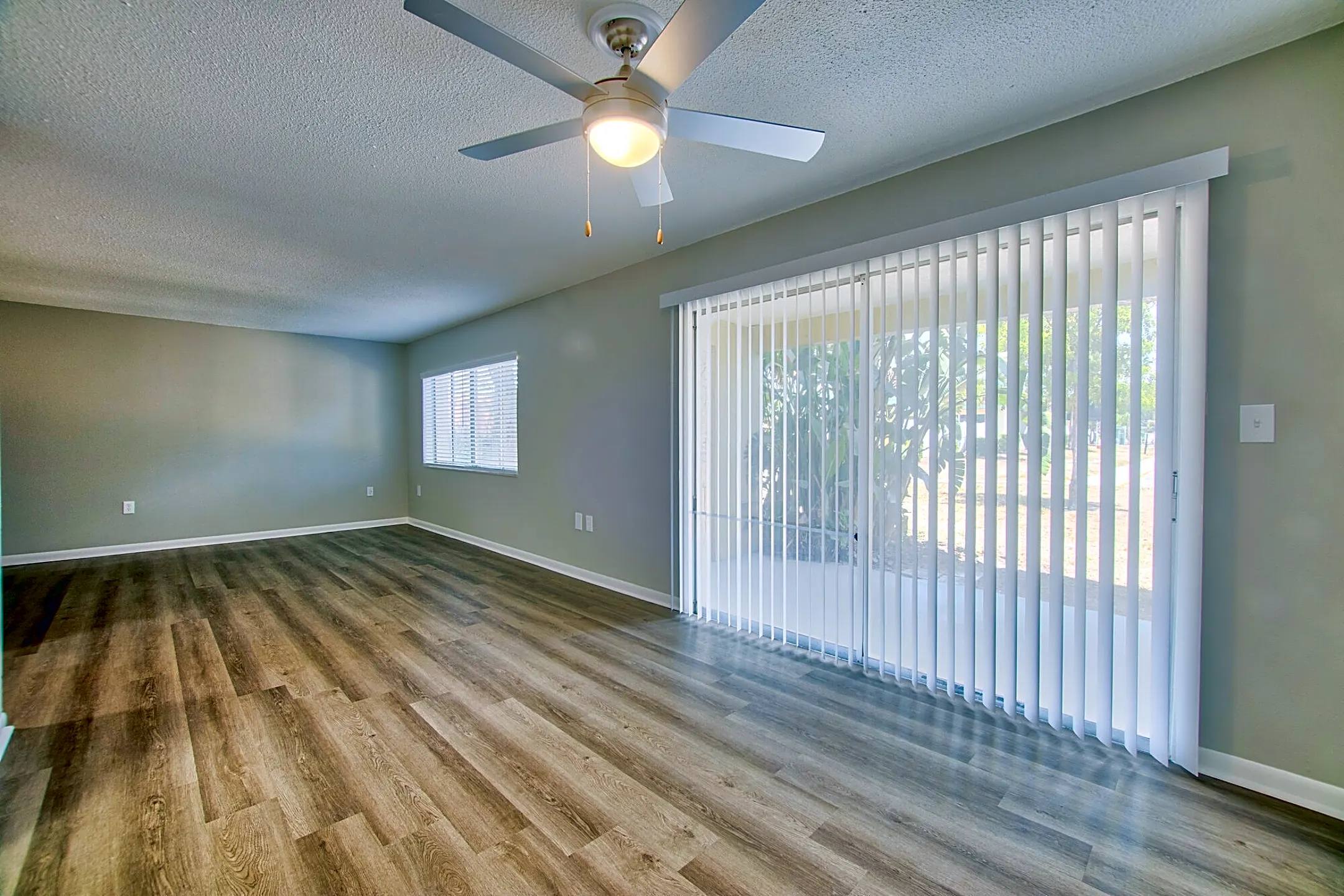 Buena Vista Seminole, FL 33772