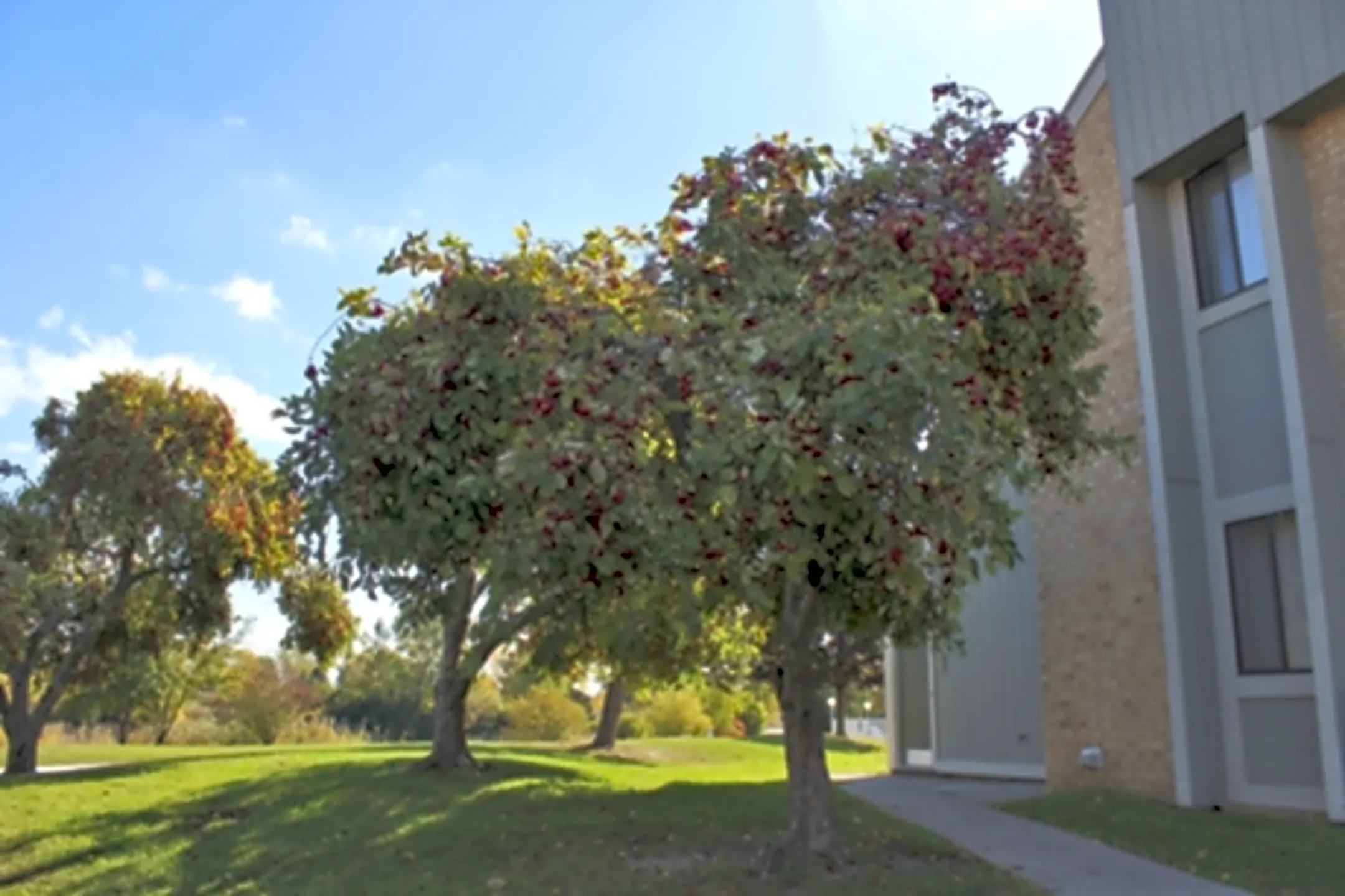 Turtle Creek Apartment Homes 1 Oak Creek Ln Pontiac, MI Apartments for Rent Rent.