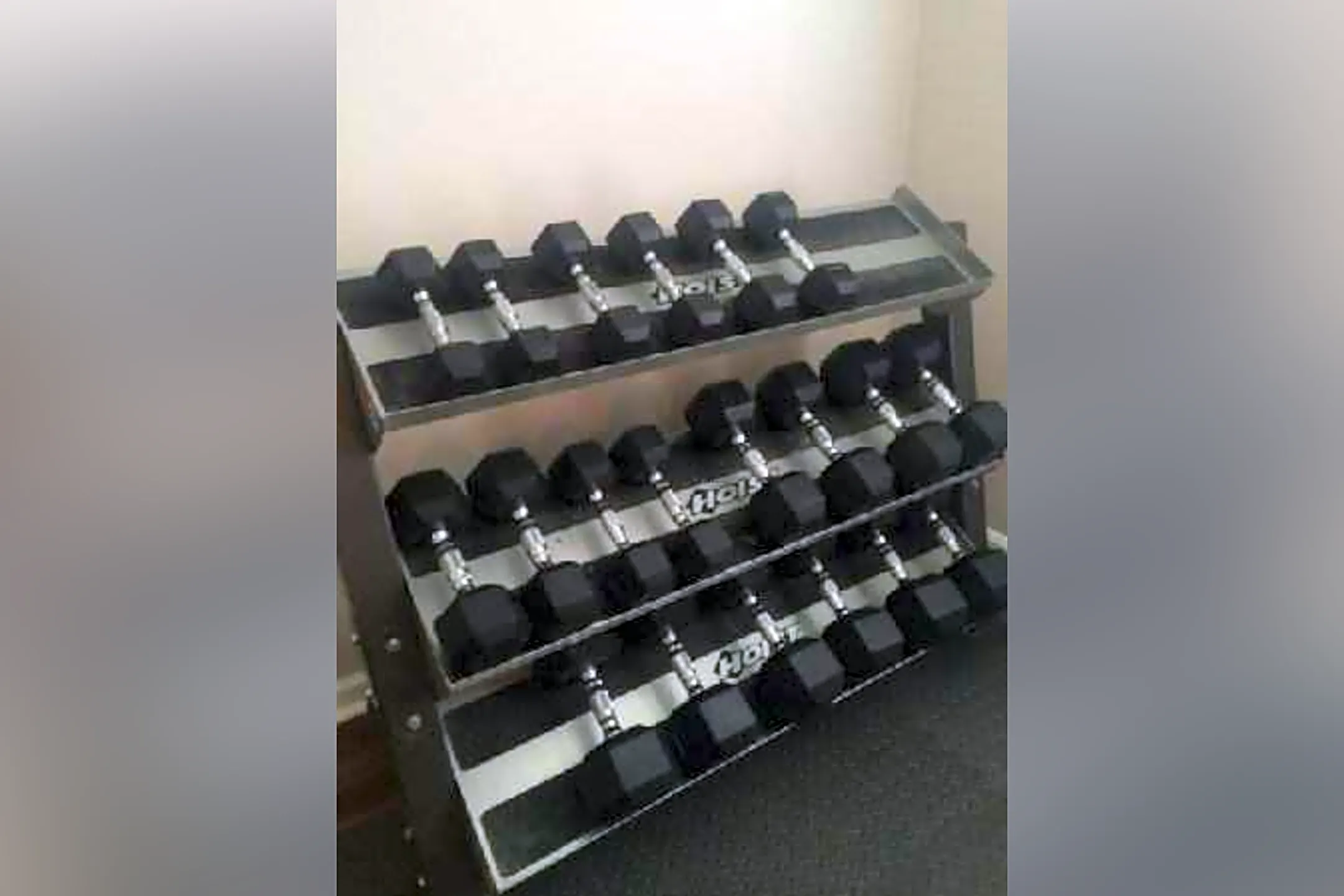 Fitness Weight Room - Double Tree Apartments - Lexington, KY
