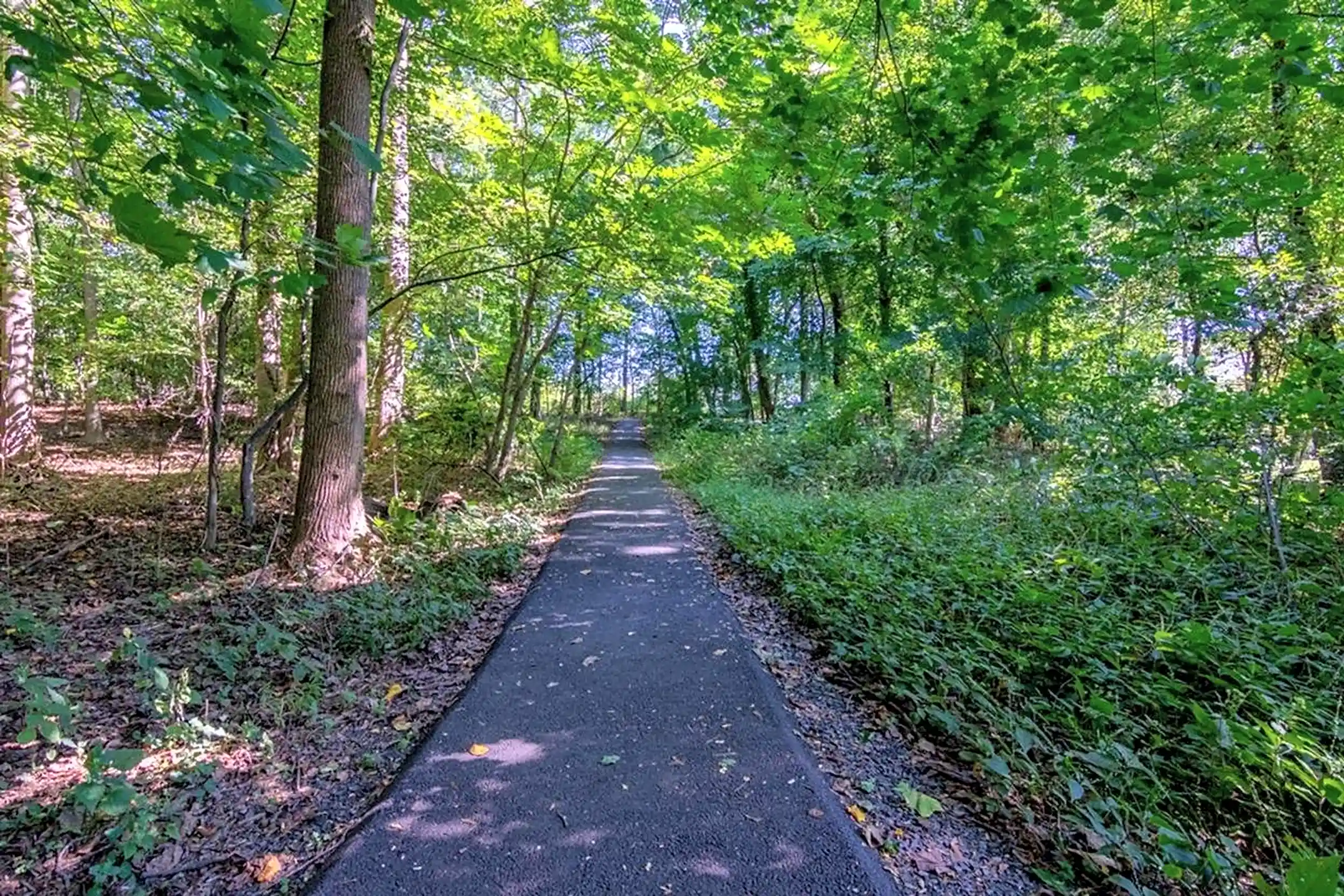 Short Hills Terrace Apartments 806 Morris Tpke Short Hills, NJ