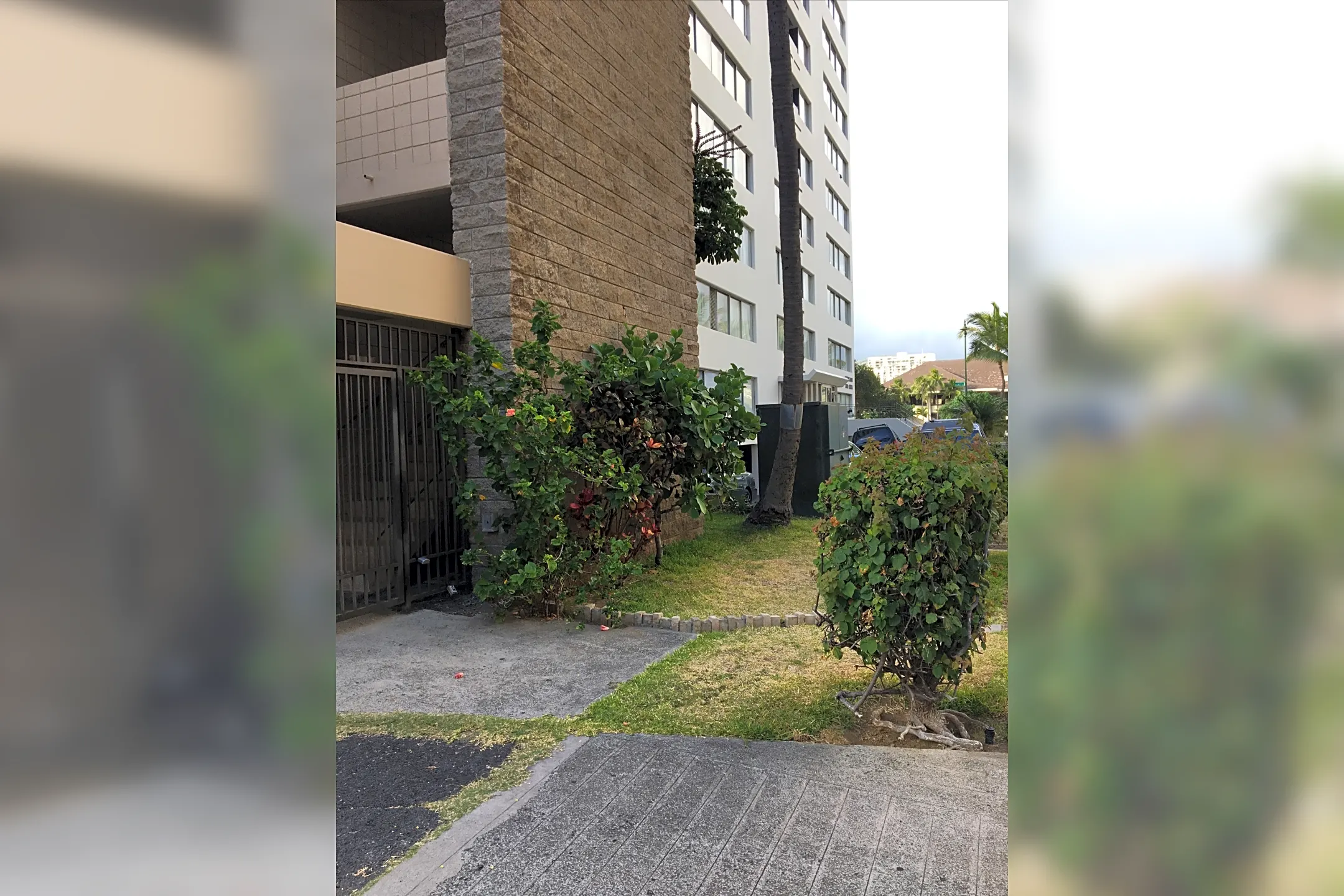 Ohana Hale Apartments - 314 Ohua Ave | Honolulu, HI for Rent | Rent.