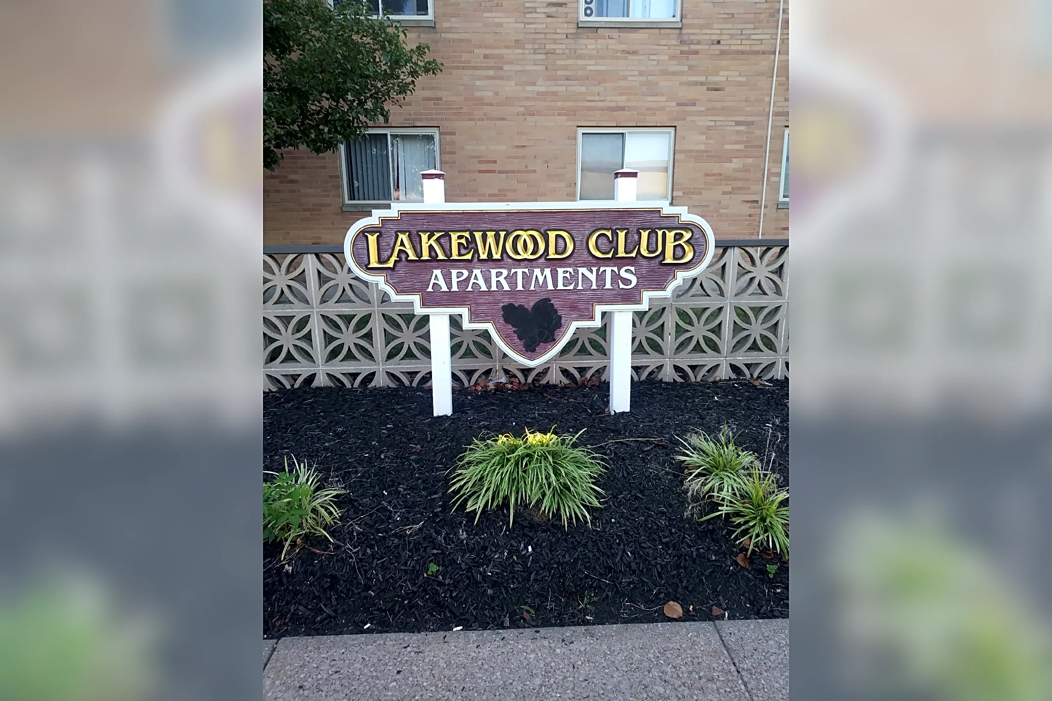 Pool - Lakewood Club - Lakewood, OH