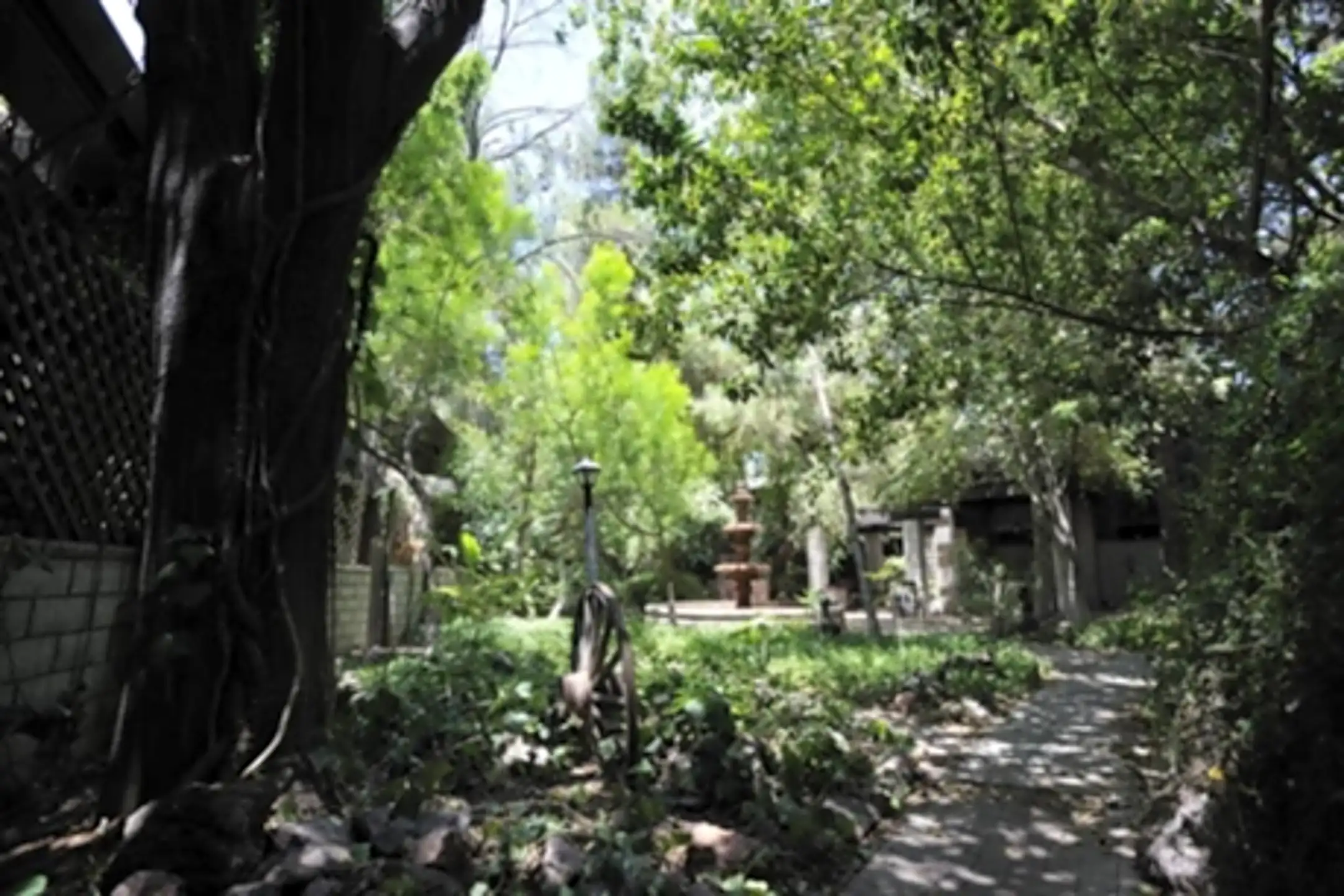 Fountains in the Green 3019 N 14th St Phoenix, AZ Apartments for