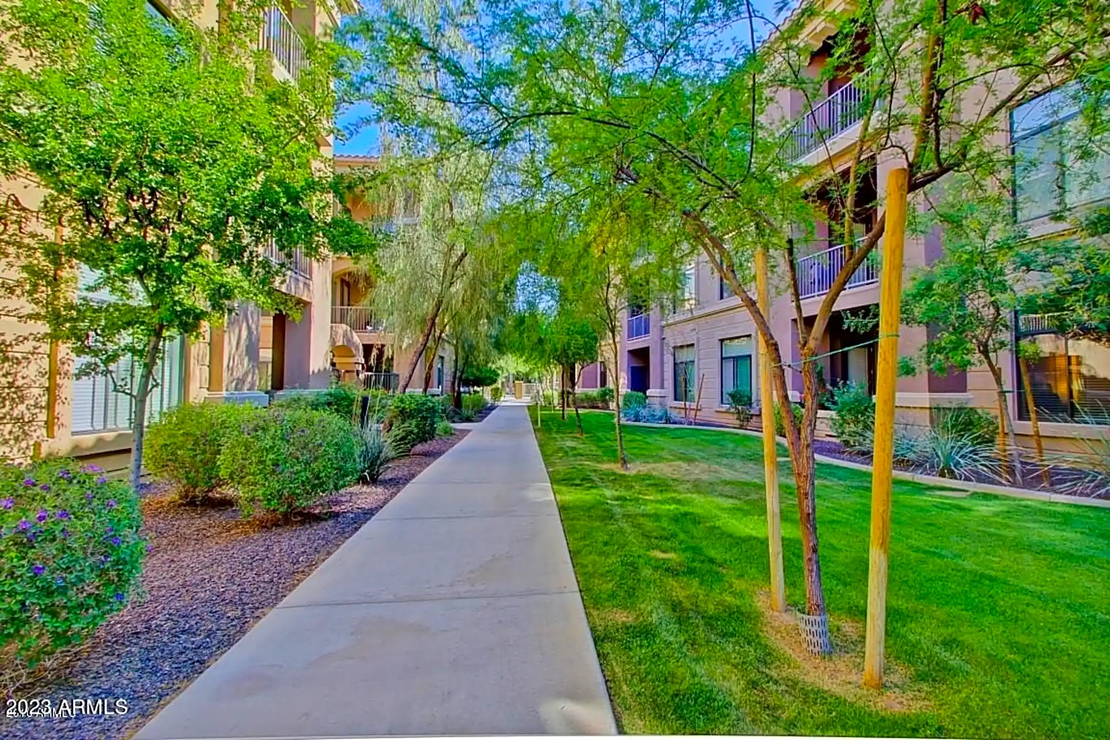 11640 N Tatum Blvd 2062 Phoenix, AZ Houses for Rent Rent.