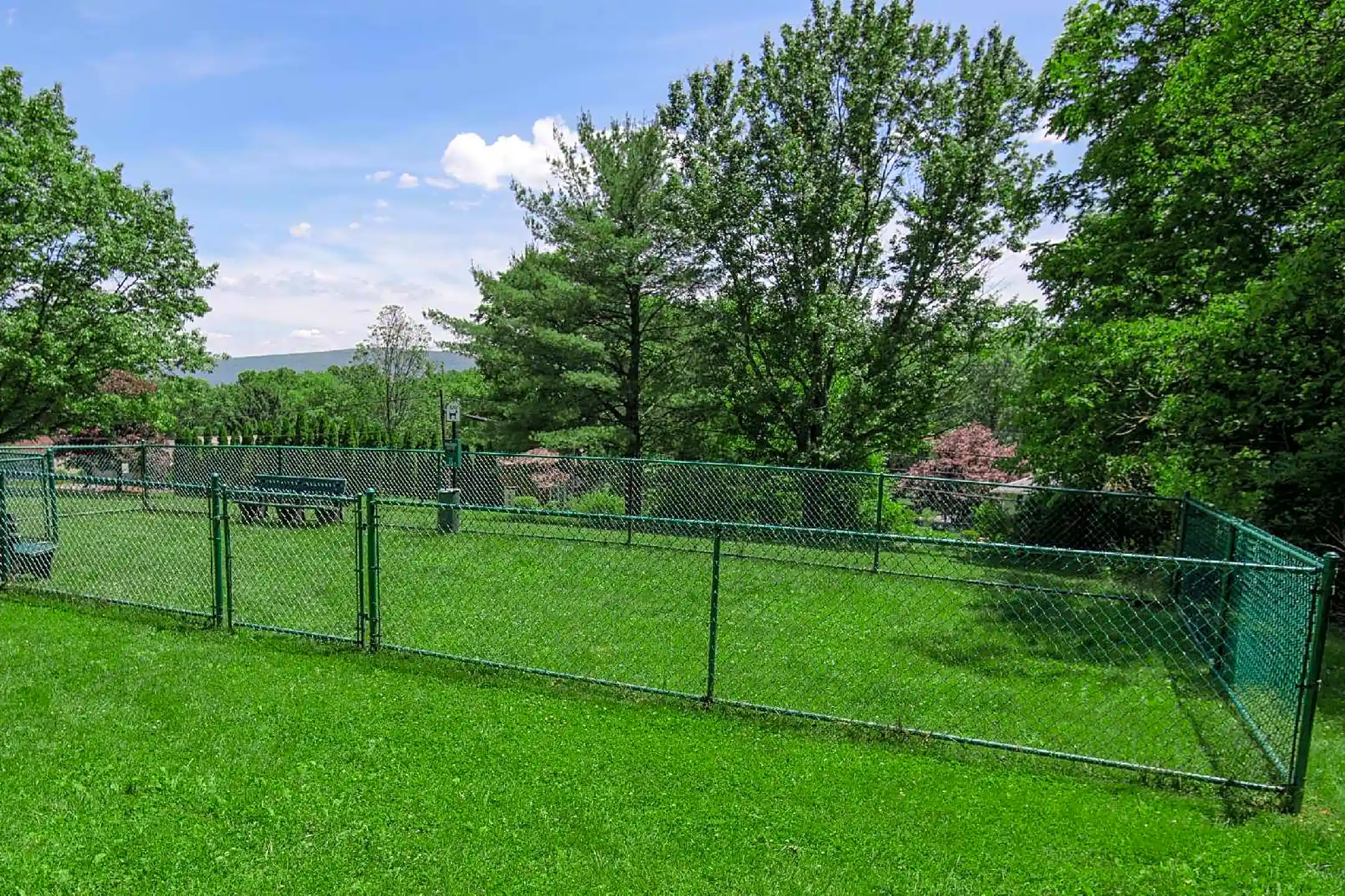 Grampian Hills Apartments Williamsport, PA 17701