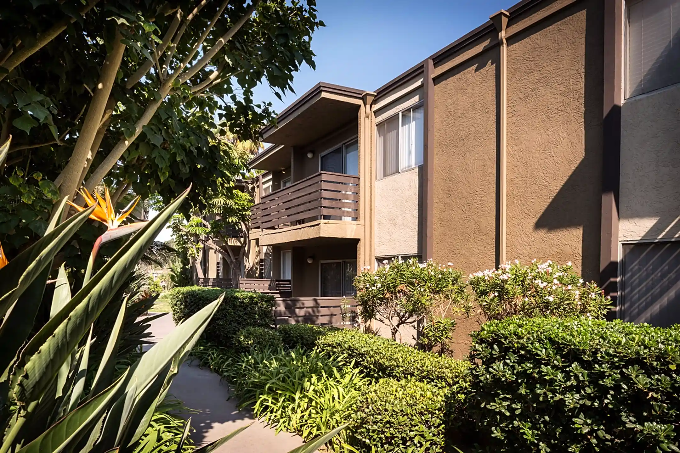 Elan Avante 8515 Chloe Ave La Mesa, CA Apartments for Rent Rent.