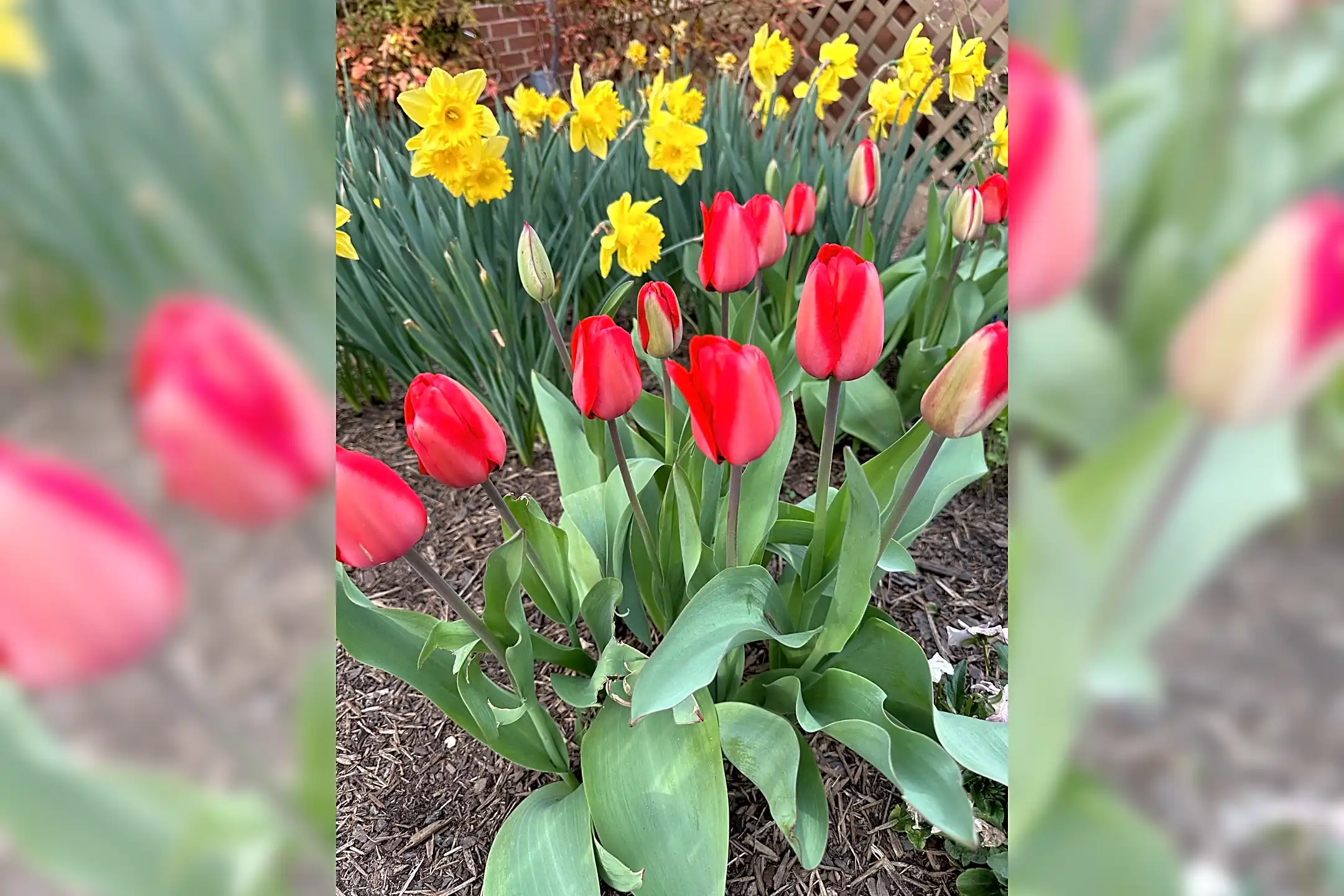 404 Church St Apartments Gordonsville, VA 22942