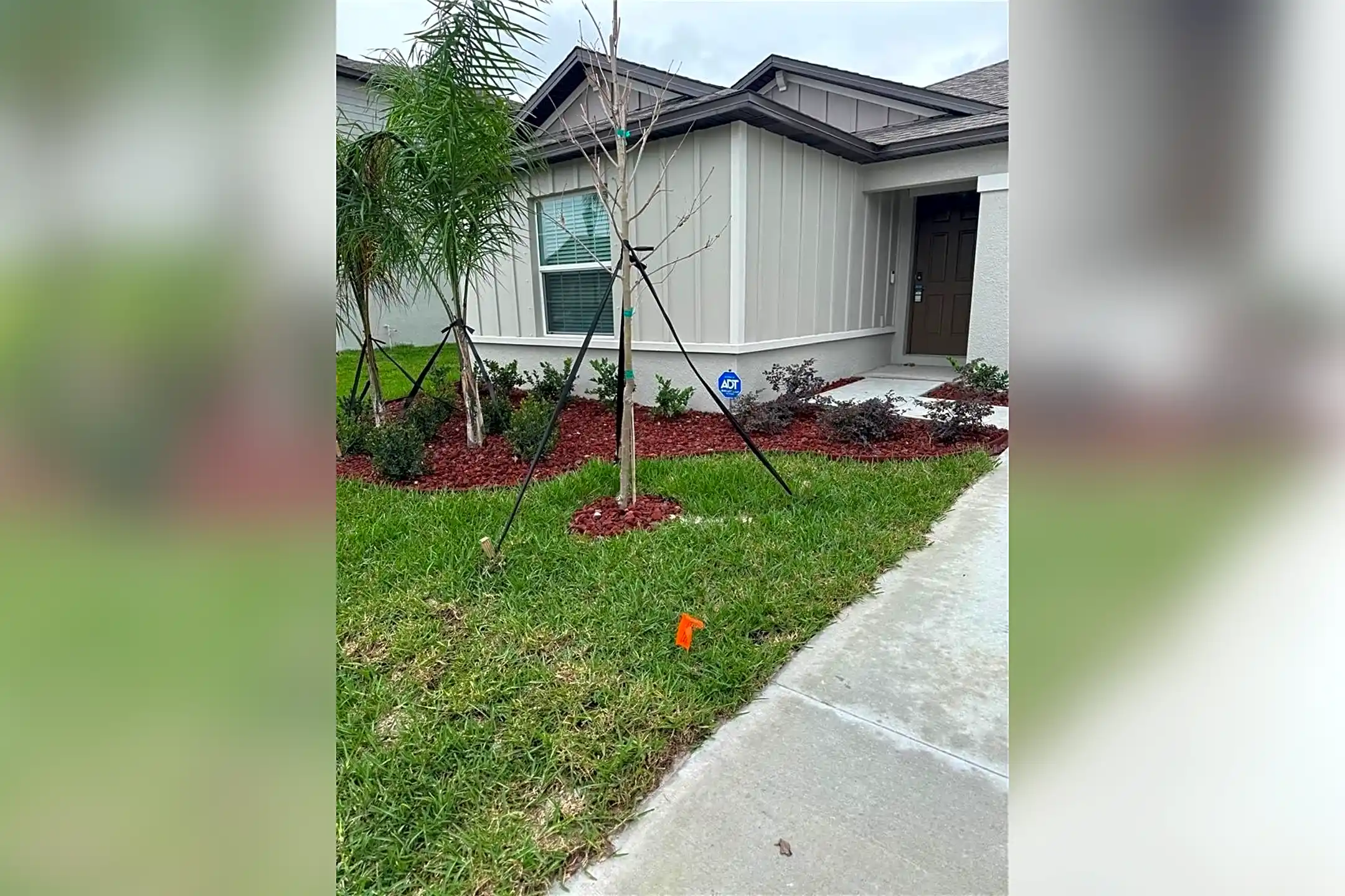 5017 Fiddle Fig Ave Wimauma, FL Houses for Rent Rent.