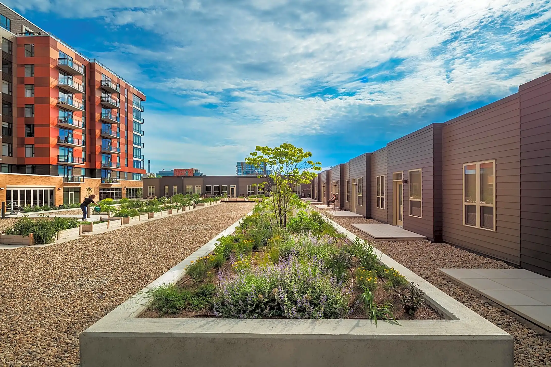 The Breese 1003 East Mifflin Street Madison, WI Apartments for Rent