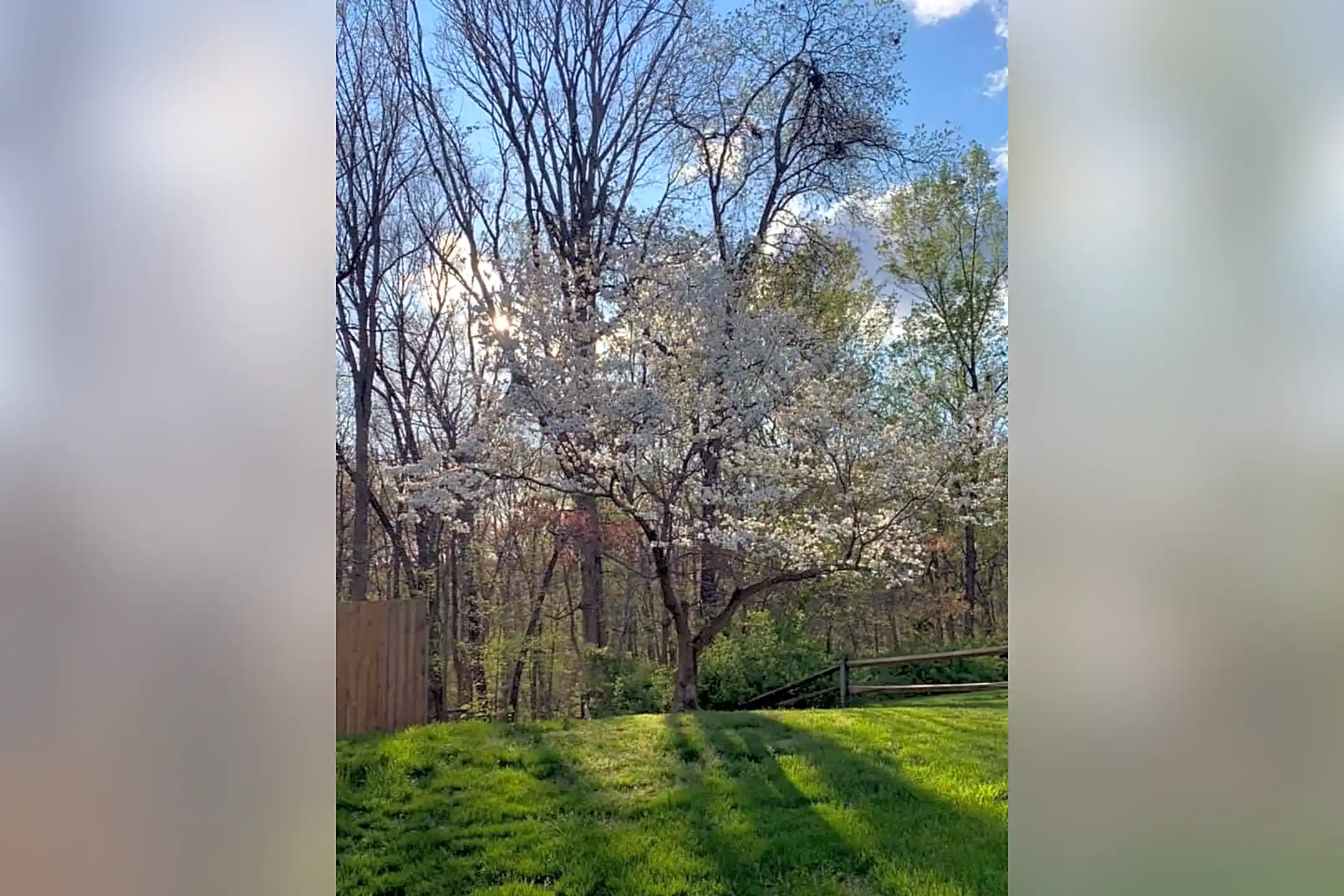 14885 Lambeth Square 14885 Lambeth Square unit Basement Centreville