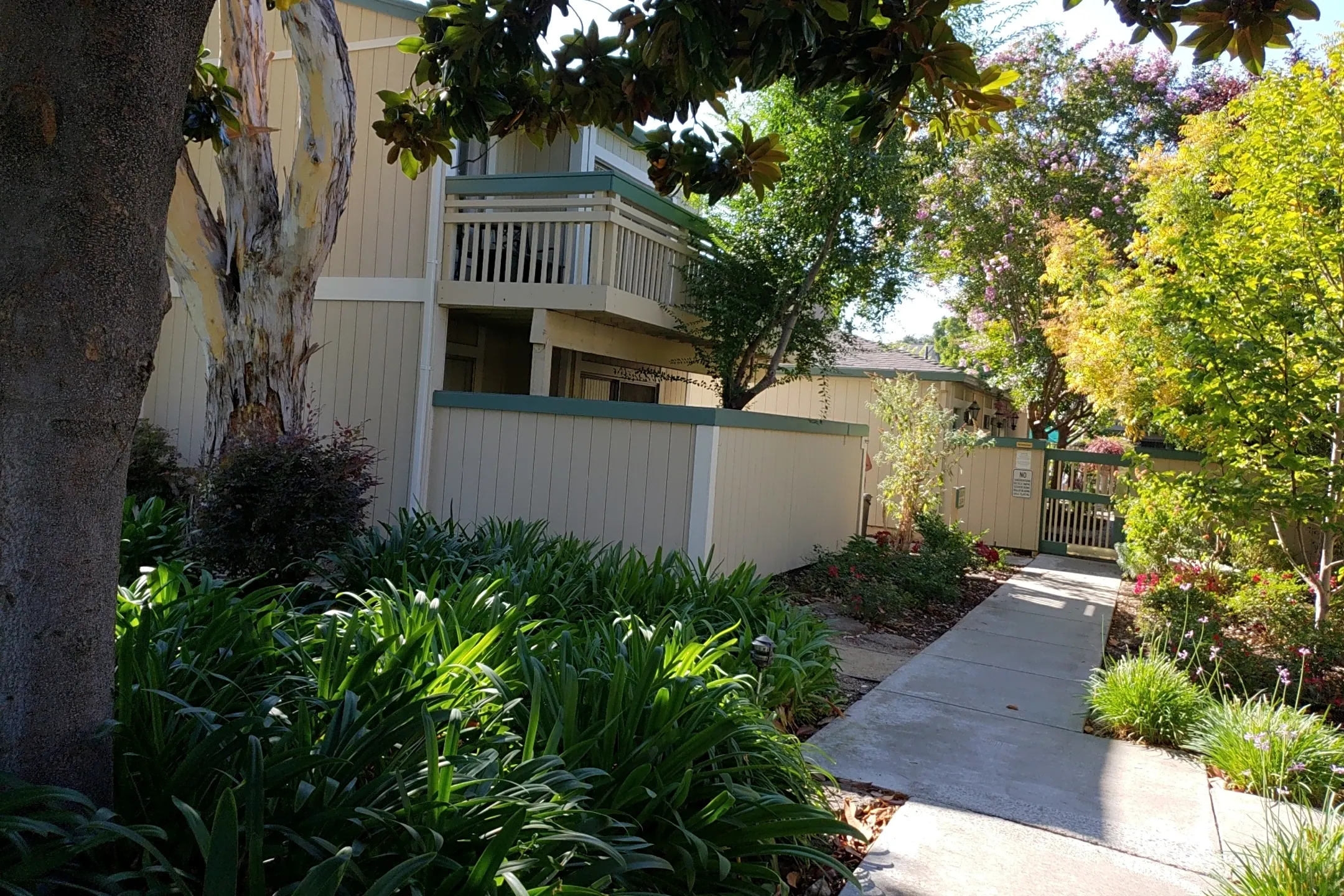 Live Oak Apartments Los Gatos