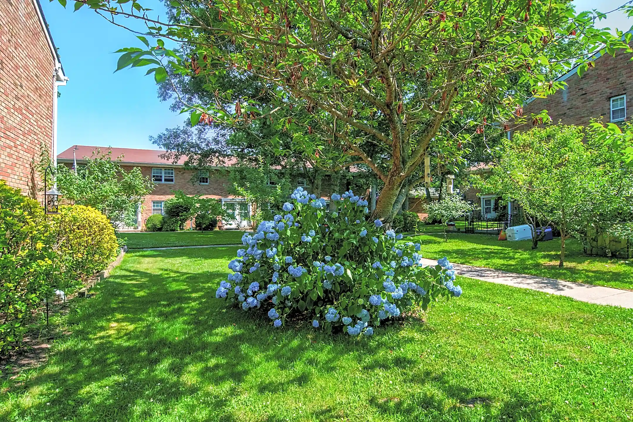 Village Court Bohemia, NY 11716