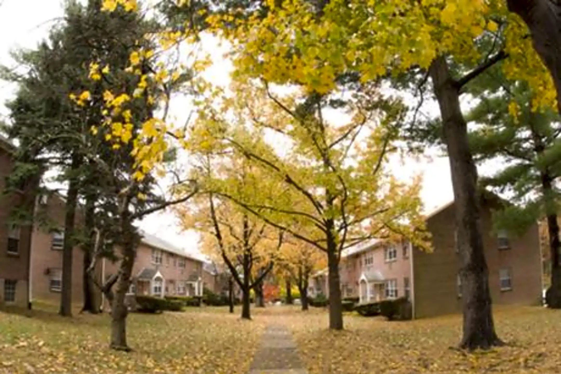 Springton Court Apartments 2630 W Chester Pike Broomall, PA