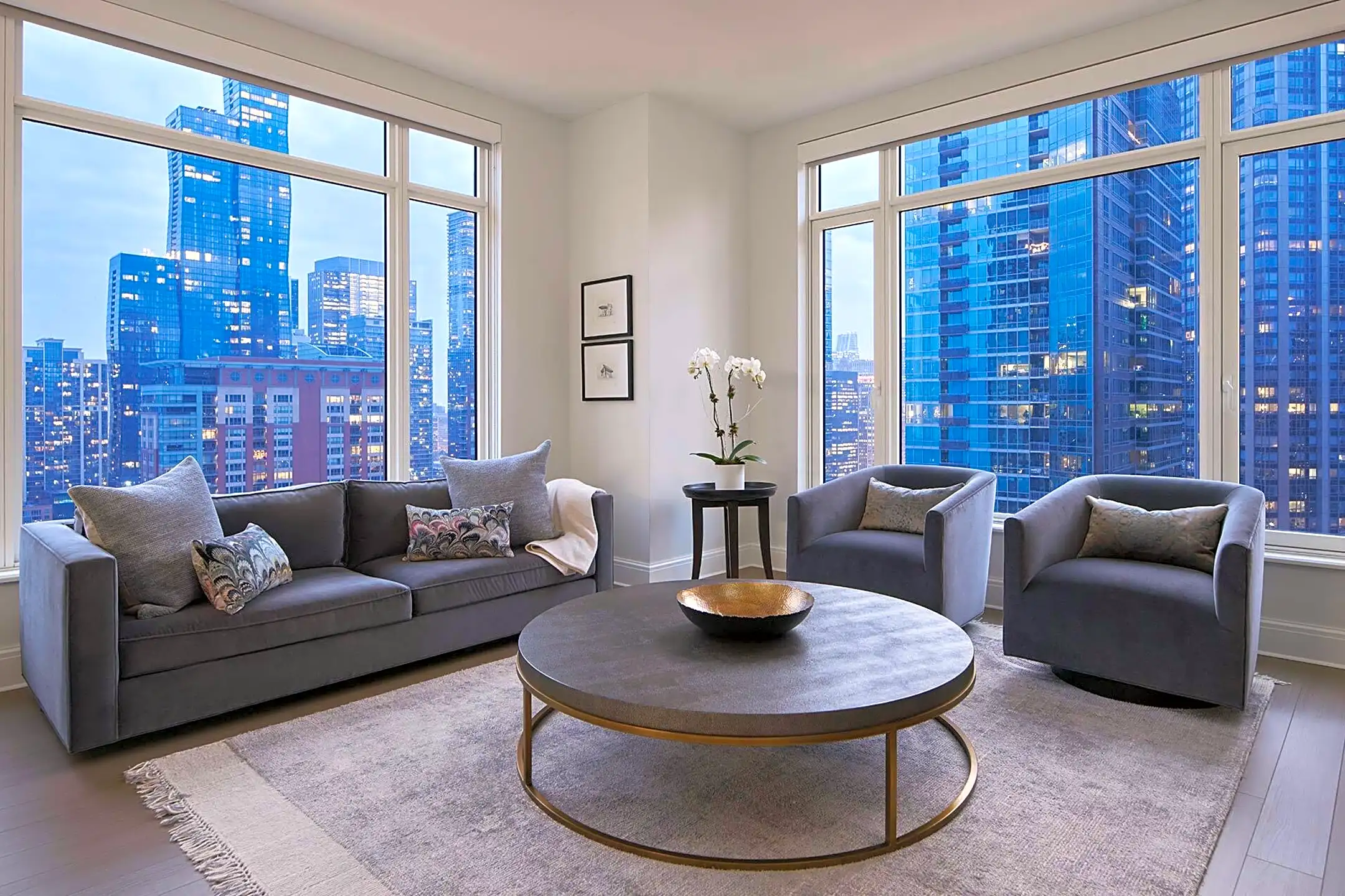 524 N Peshtigo Ct 524 N Peshtigo Ct unit 3104 Chicago, IL Houses