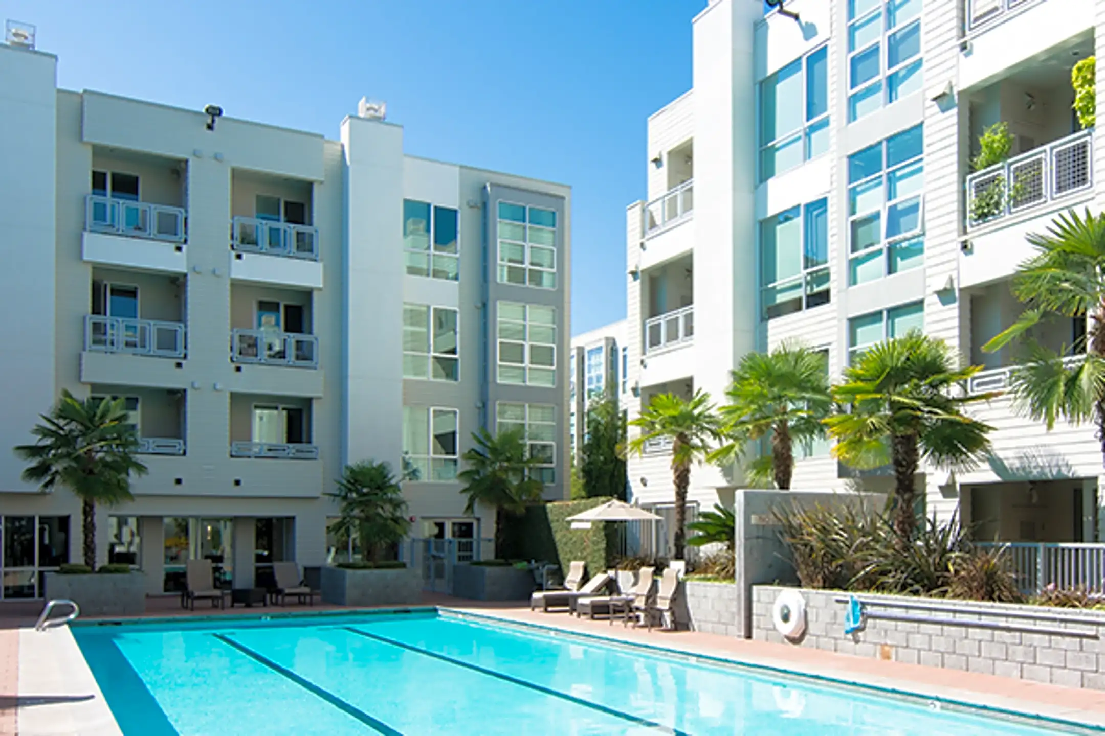 The Mercer 1655 N Calif Blvd Walnut Creek, CA Apartments for Rent
