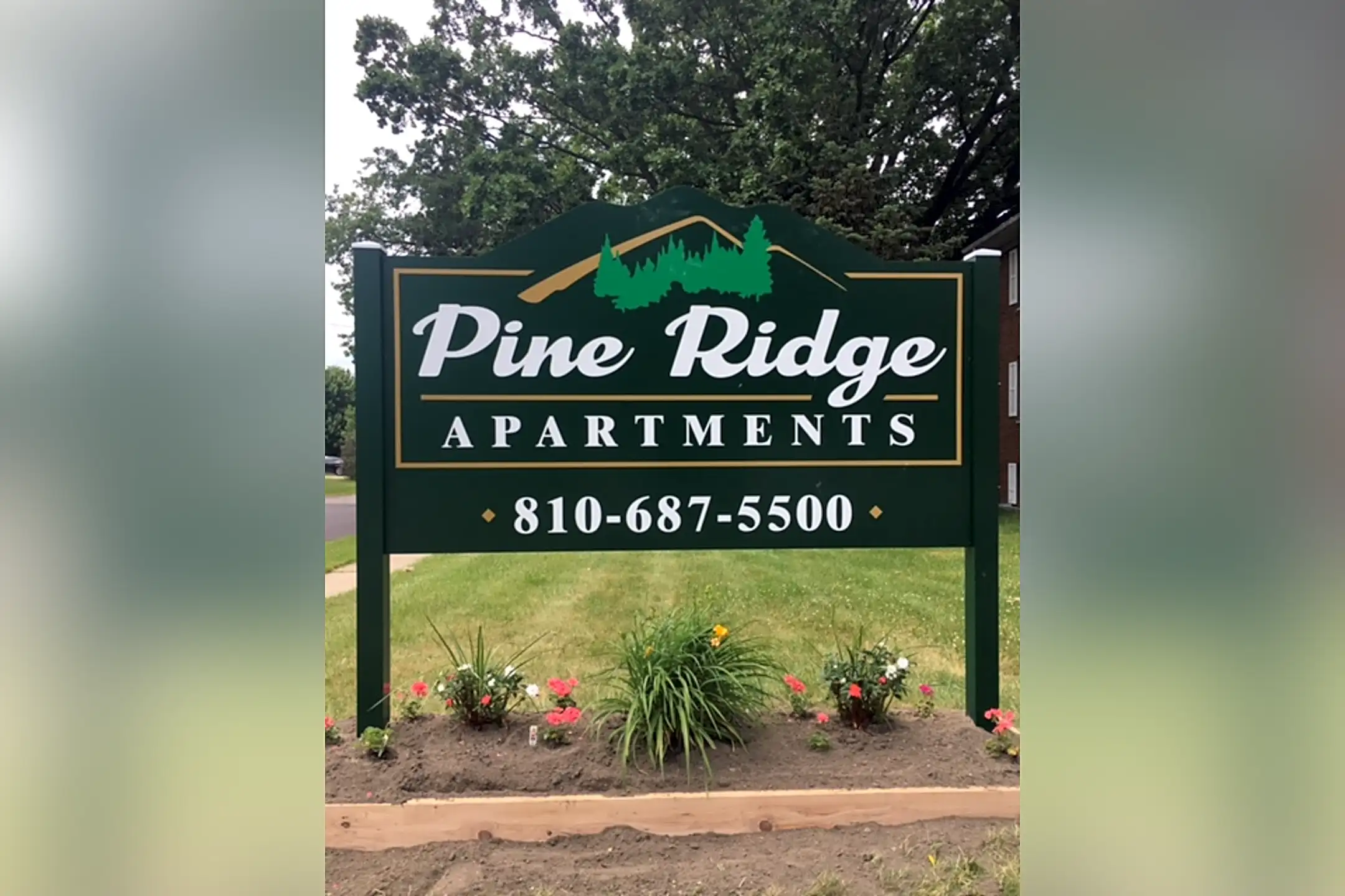 528 Pine St Apartments Clio, MI 48420