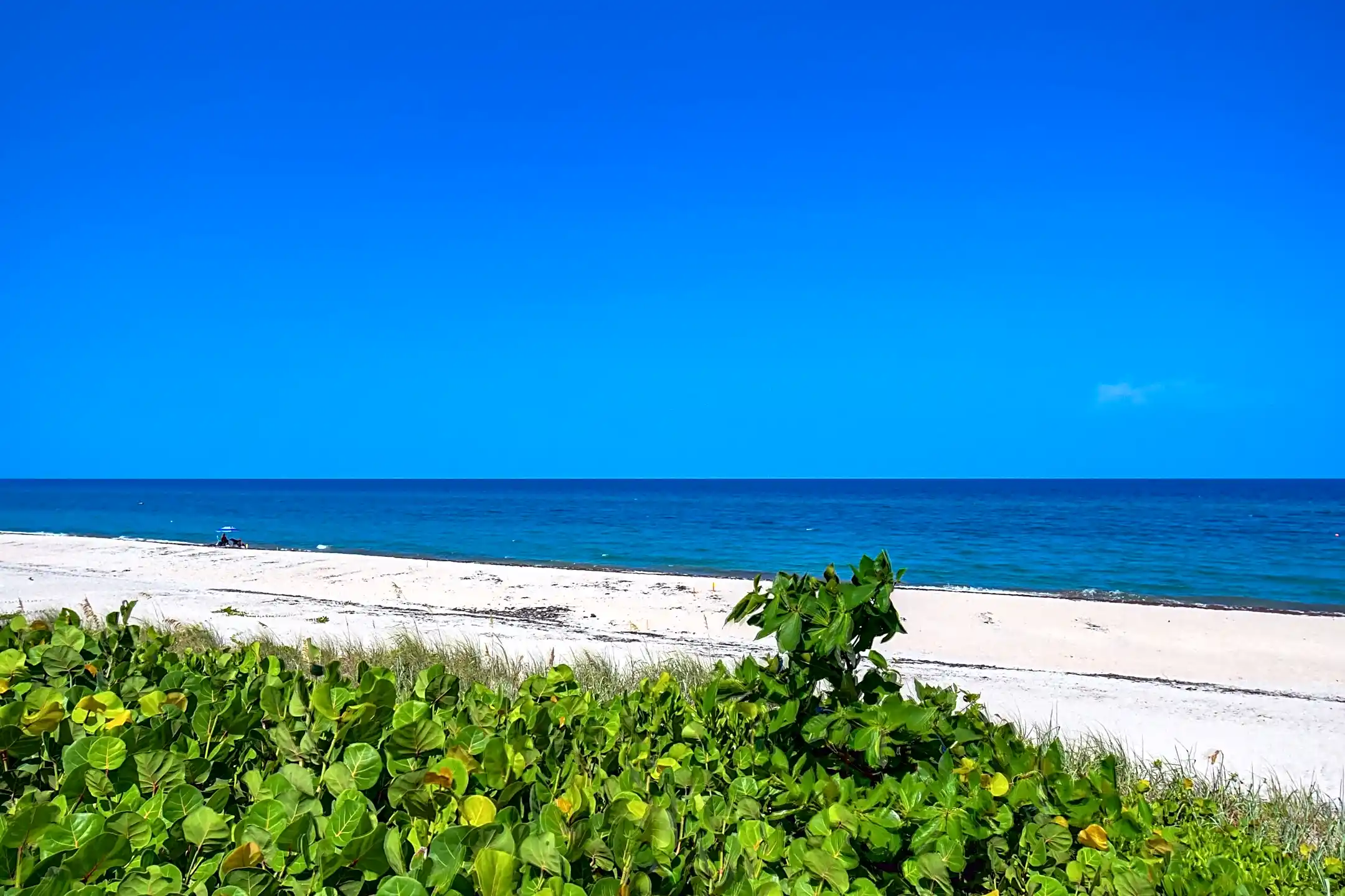 4535 Coquina Rd - Boynton Beach, FL