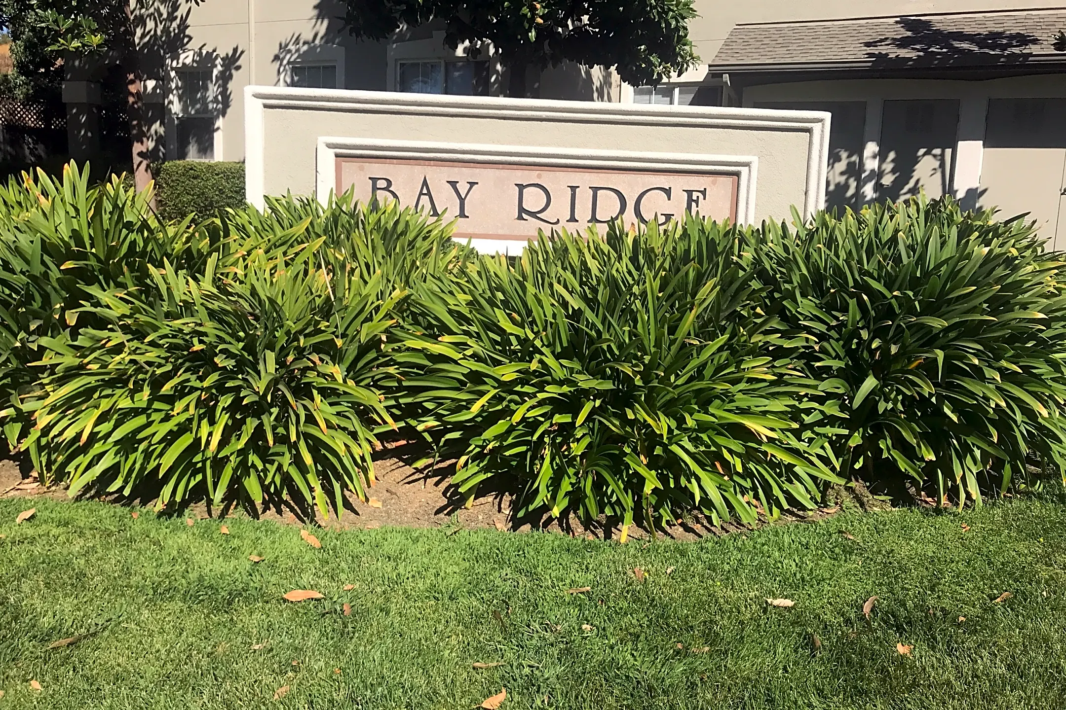 Bay Ridge Apartments Benicia