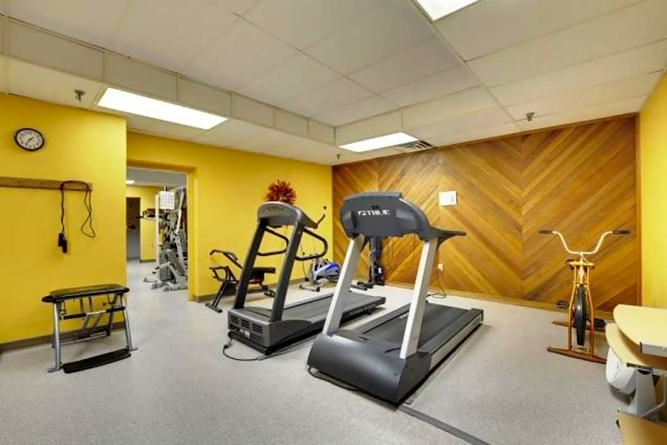 Fitness Weight Room - 1181 Edgcumbe Rd #1509 - Saint Paul, MN