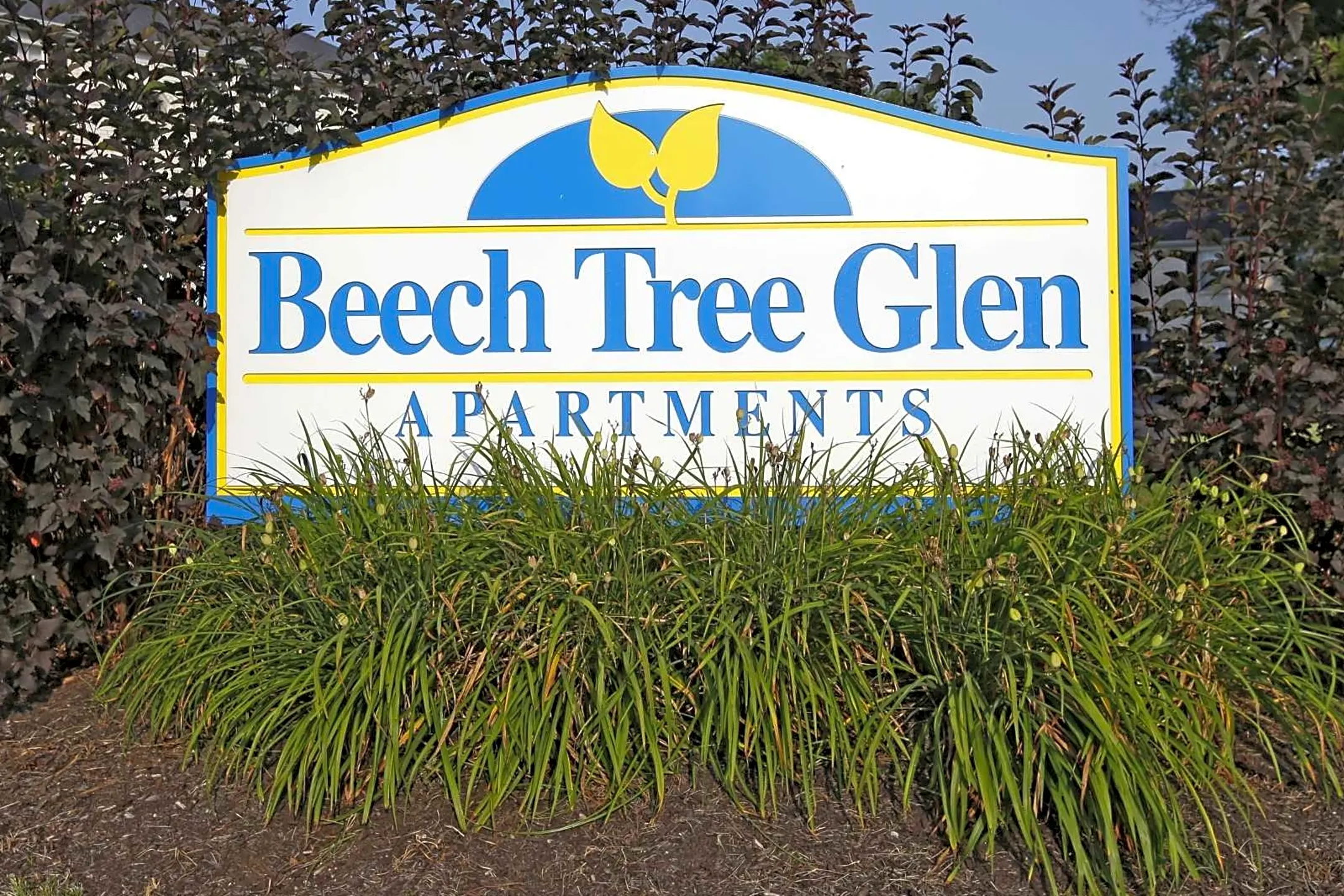 Beech Tree Glen - Beech Grove, IN