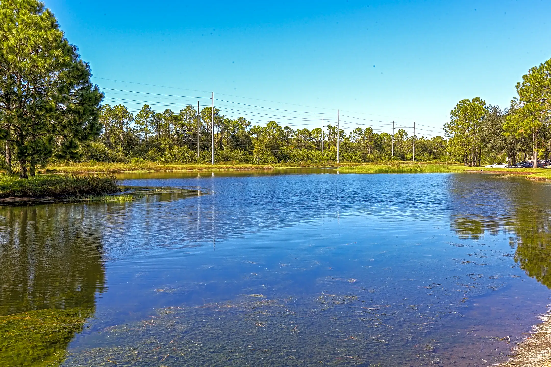 The Preserve 7855 E Fletcher Ave Temple Terrace, FL Apartments for