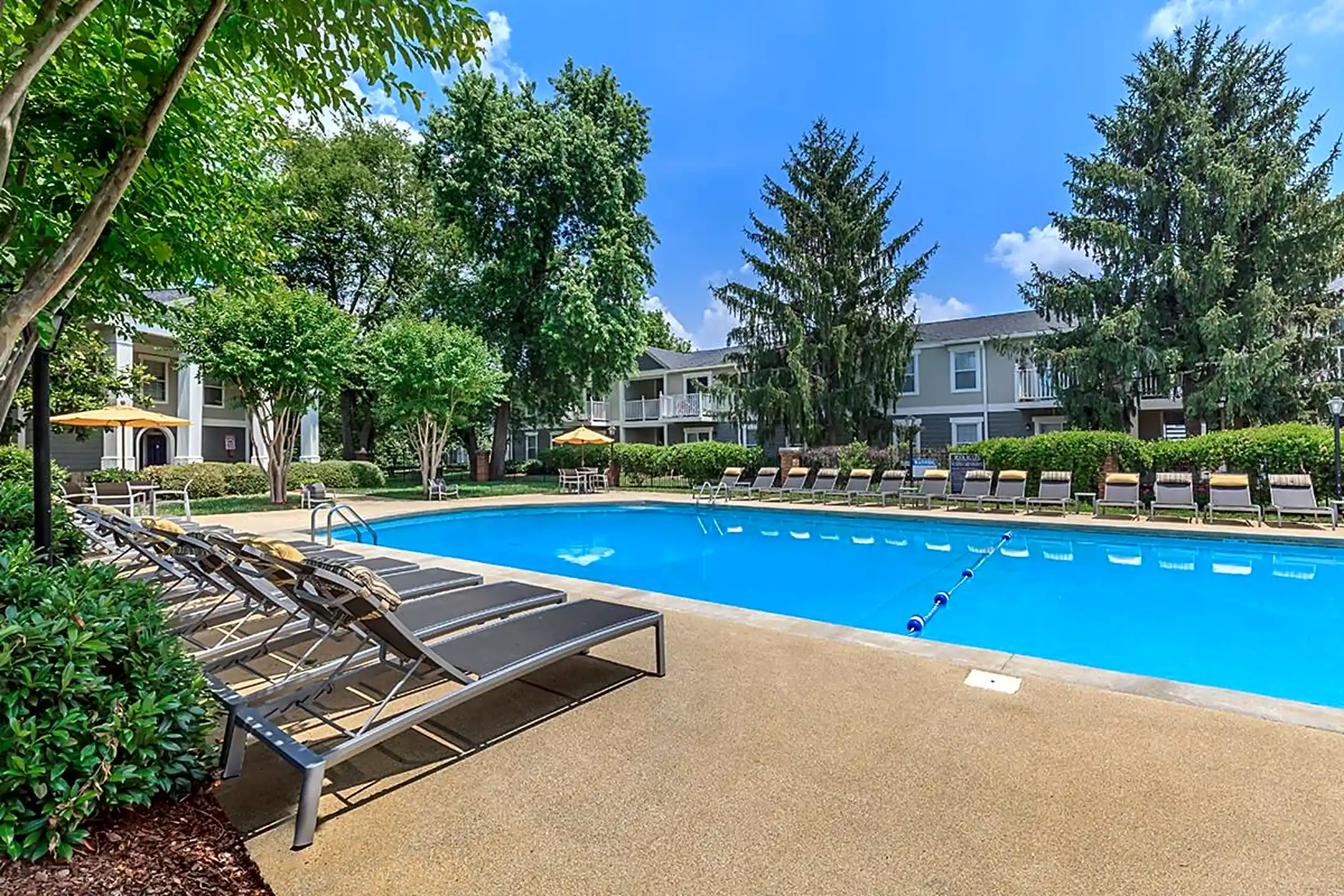 Chelsea Place Apartments Murfreesboro
