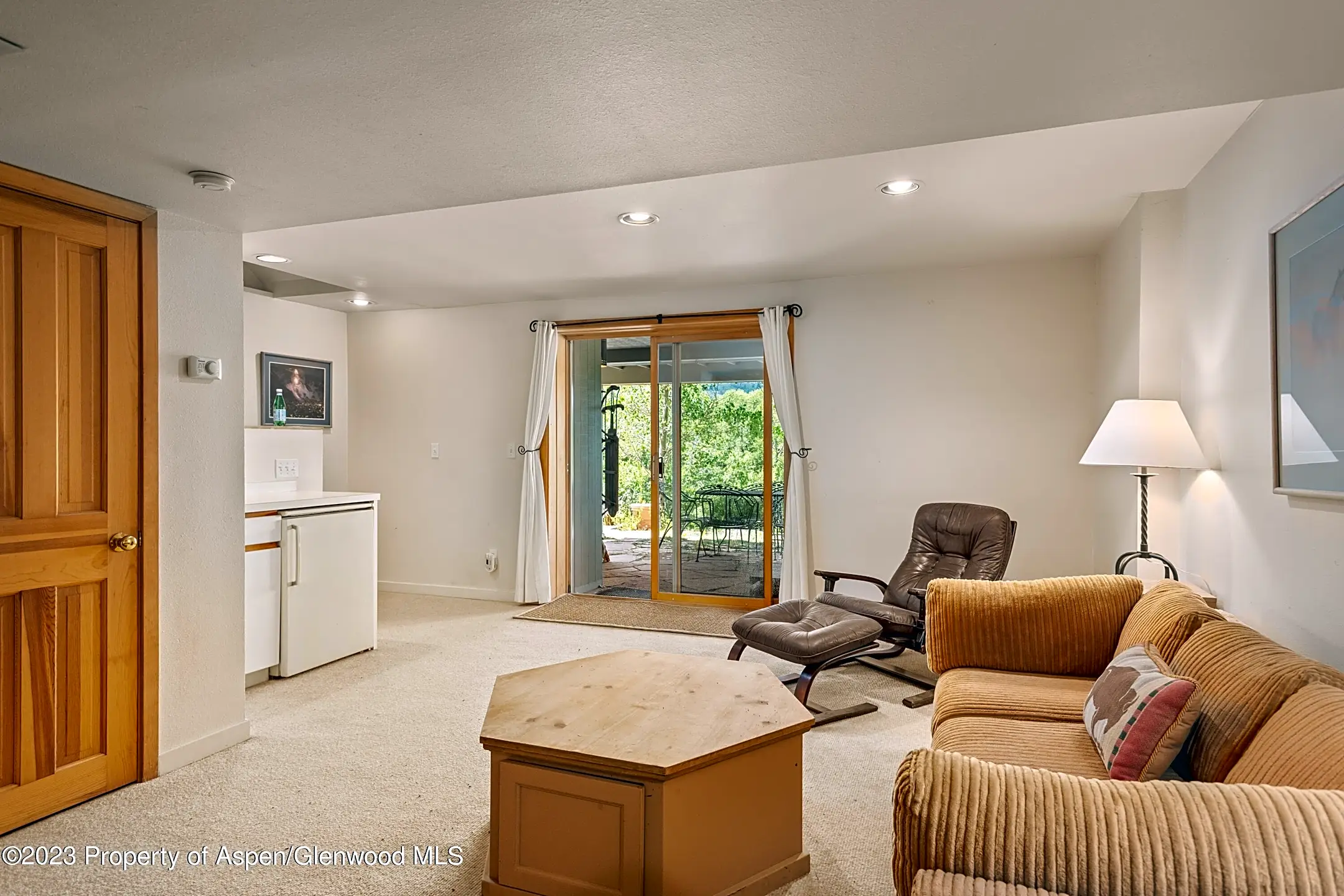 100 N 8th St 30 Condos Aspen, CO 81611