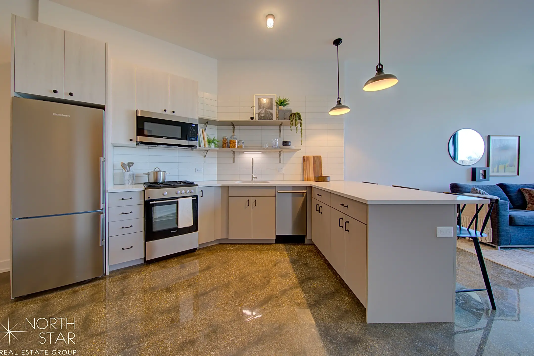 1461 S Blue Island Ave 1461 S Blue Island Ave unit 206 Chicago, IL