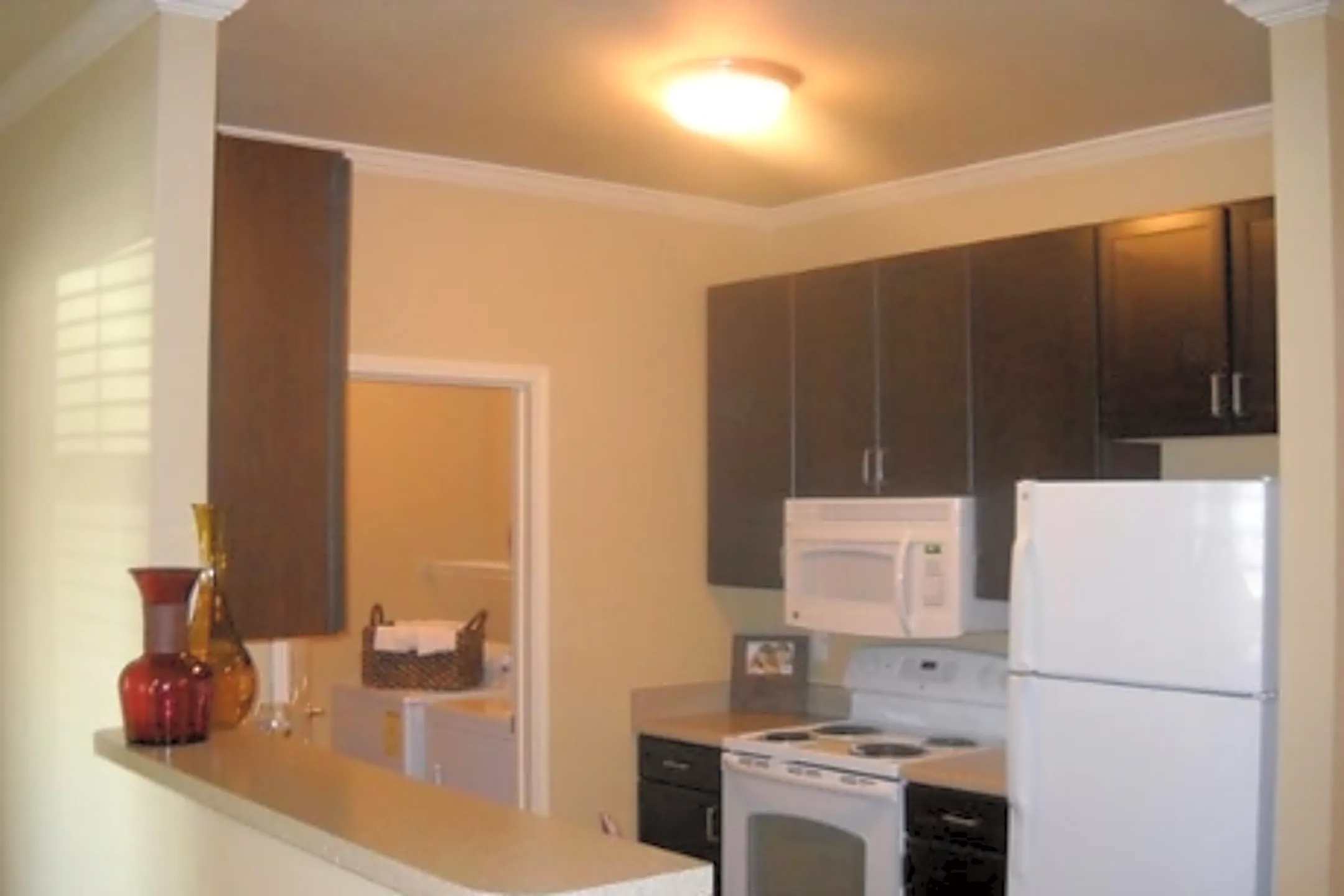 Melbourne Senior 3075 Mustang Rd Alvin, TX Apartments for Rent Rent.