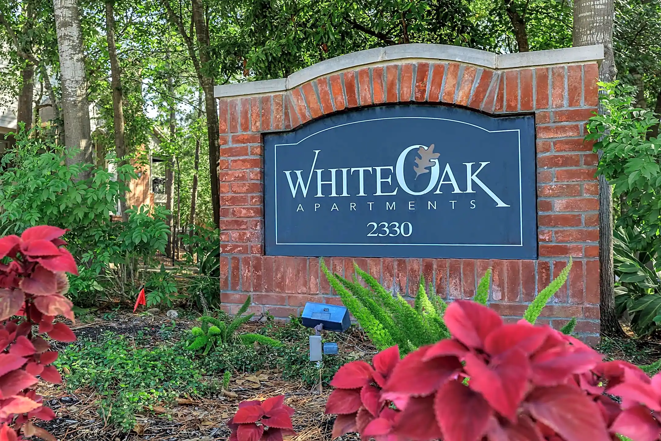 White Oak Conroe, TX 77304
