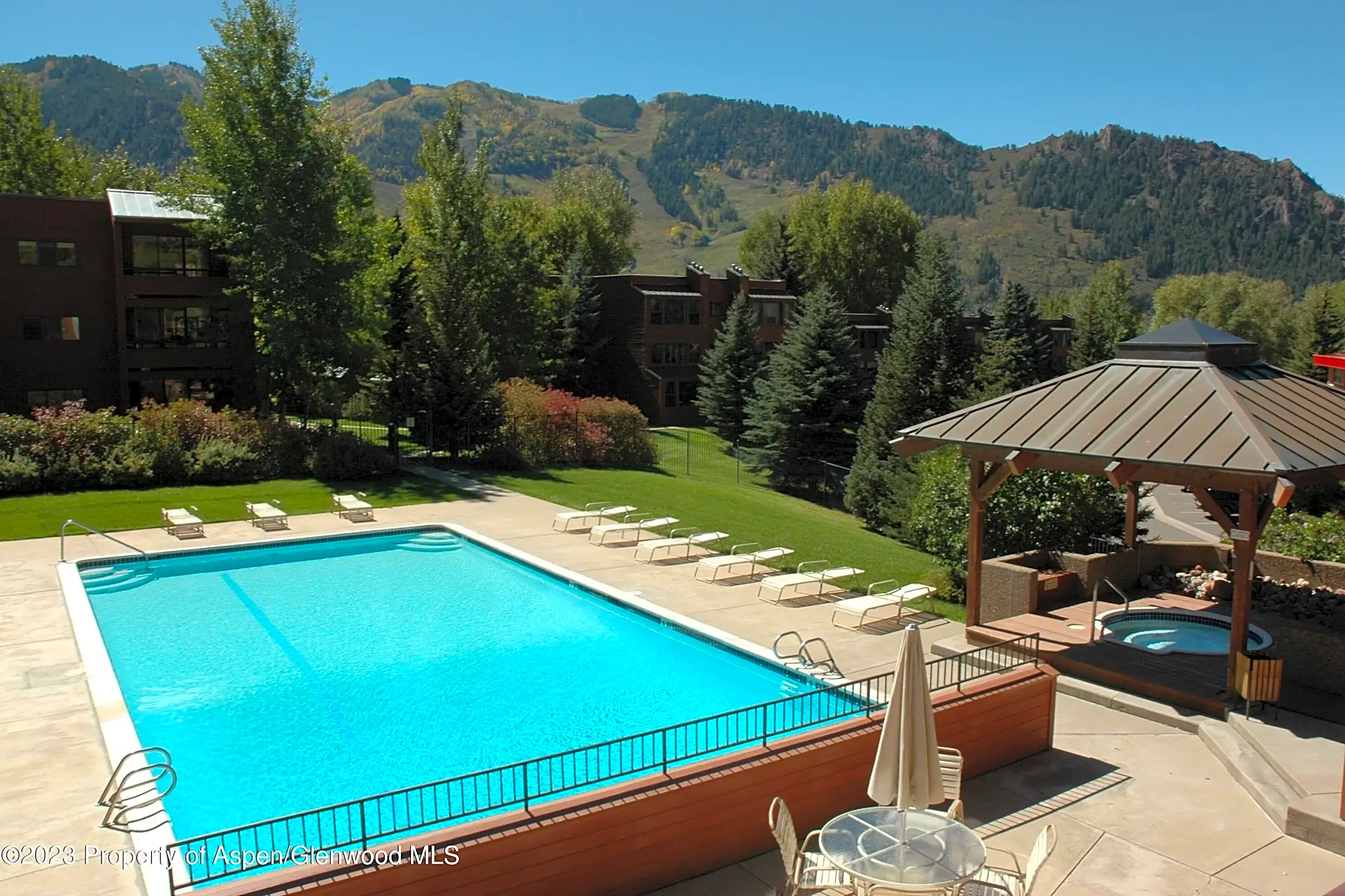 114 Vine St Condos Aspen, CO 81611