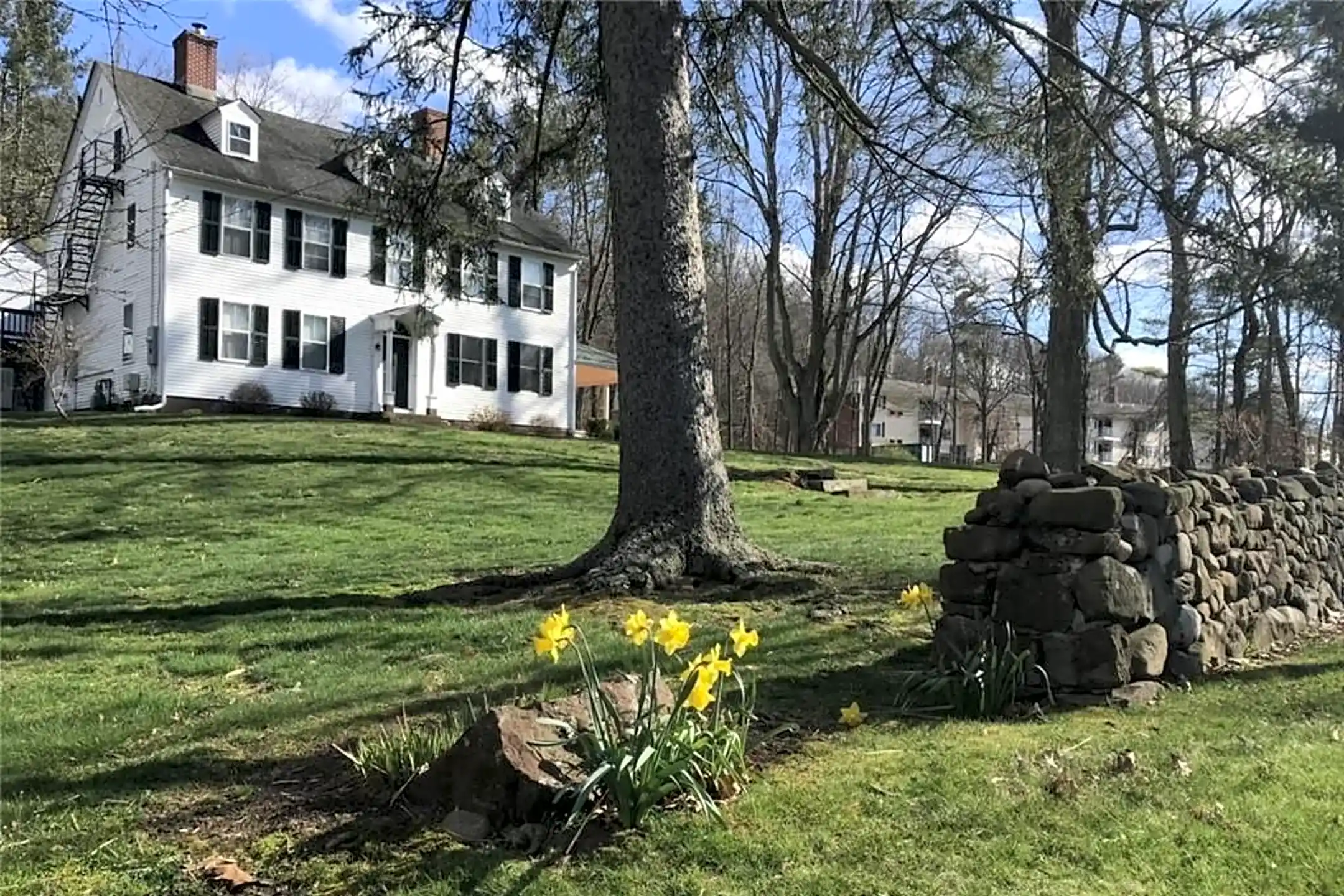 185 Main St Farmington, CT Houses for Rent Rent.