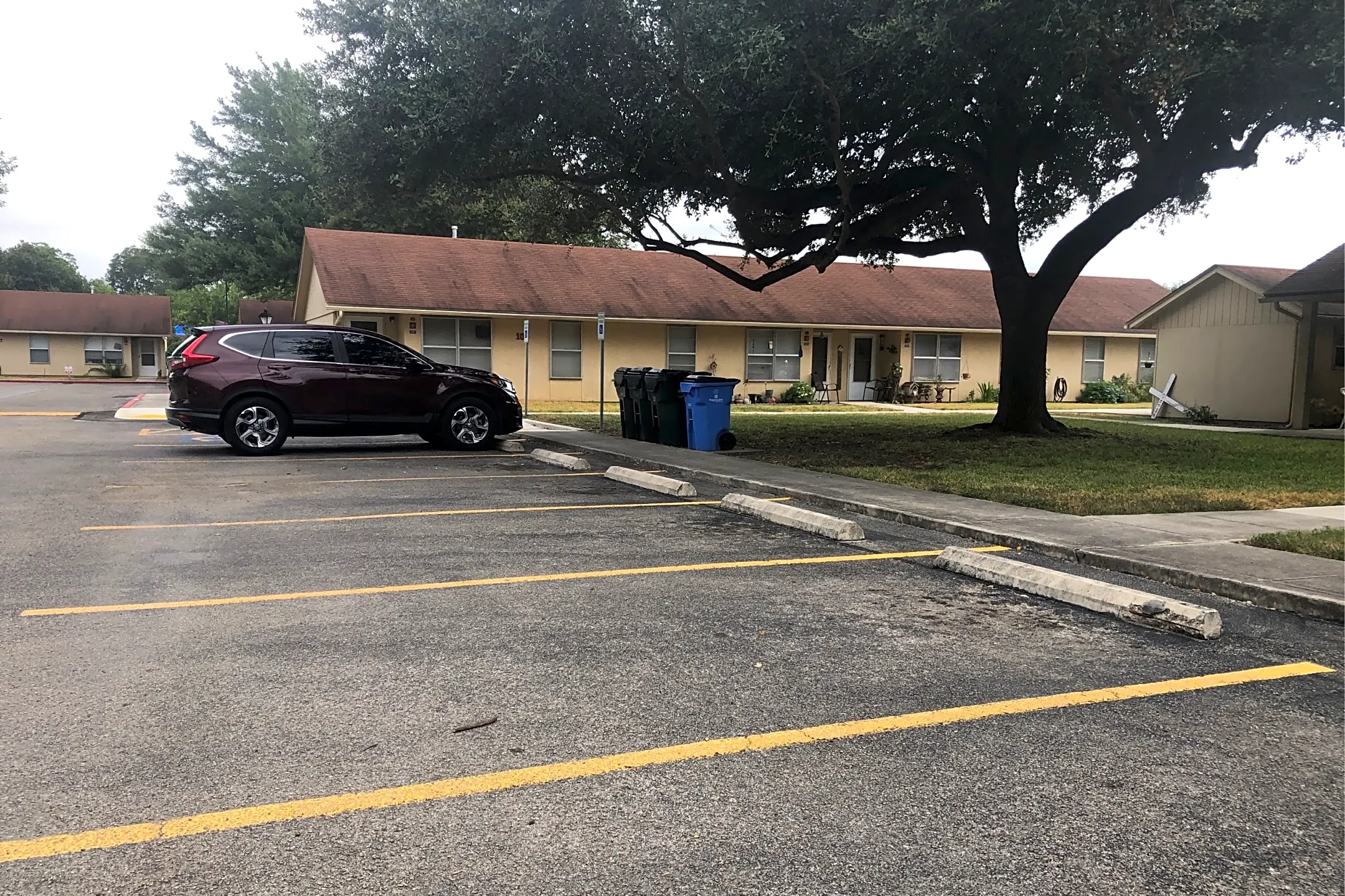 1 bedroom apartment in seguin