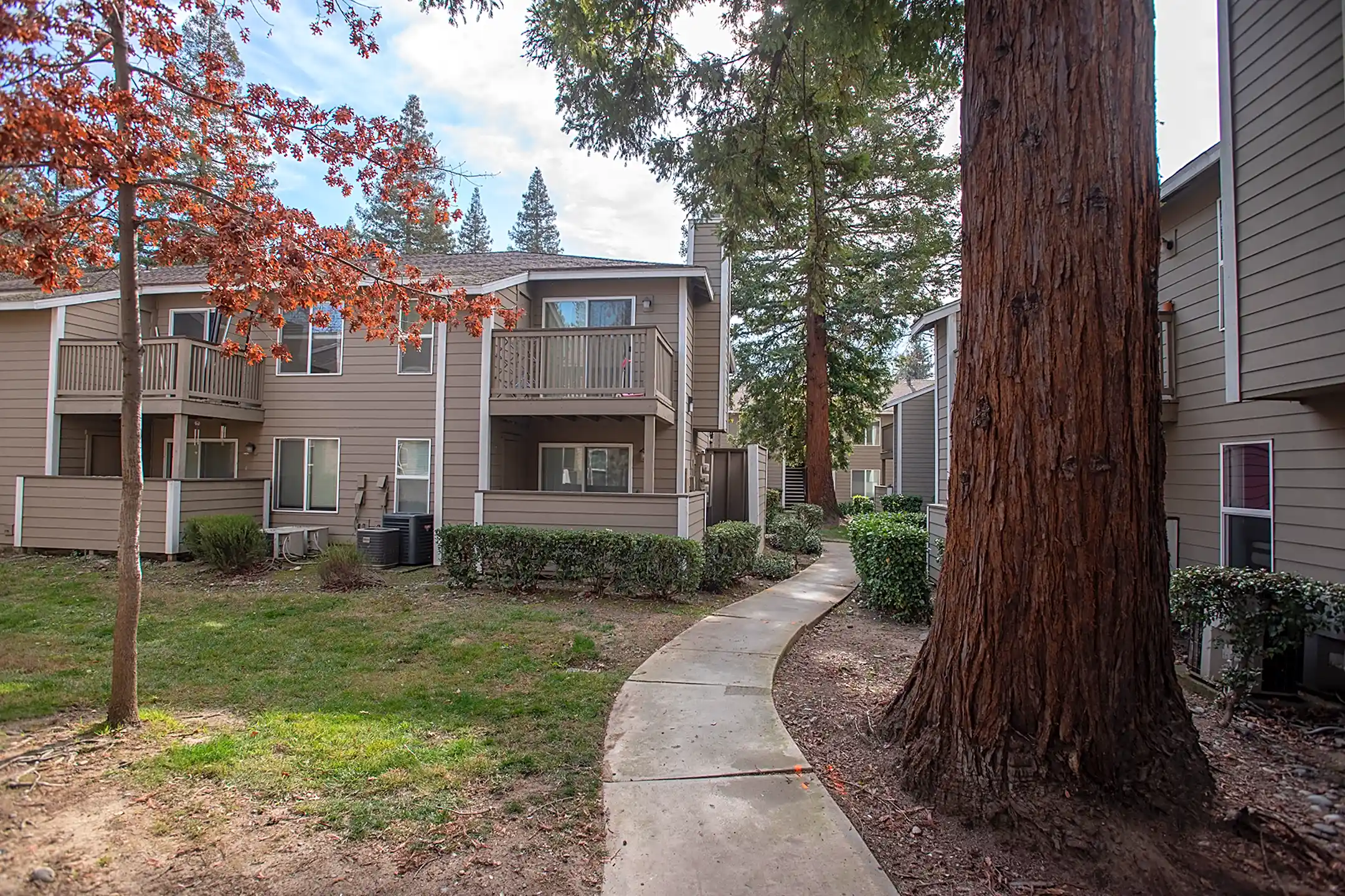 Blairmore Apartments 2330 Vehicle Dr Rancho Cordova, CA Apartments